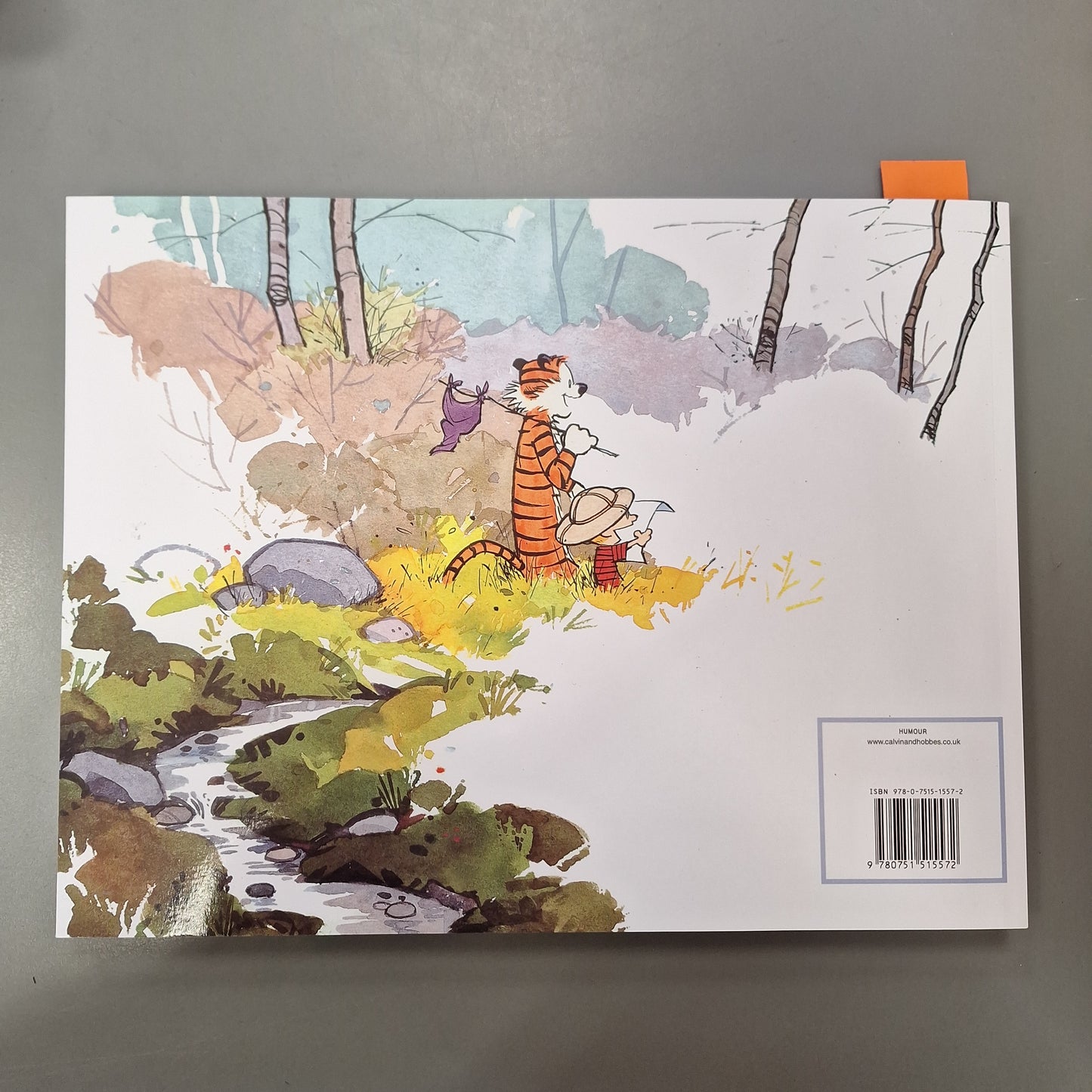 The Calvin and Hobbes Tenth Anniversary Book