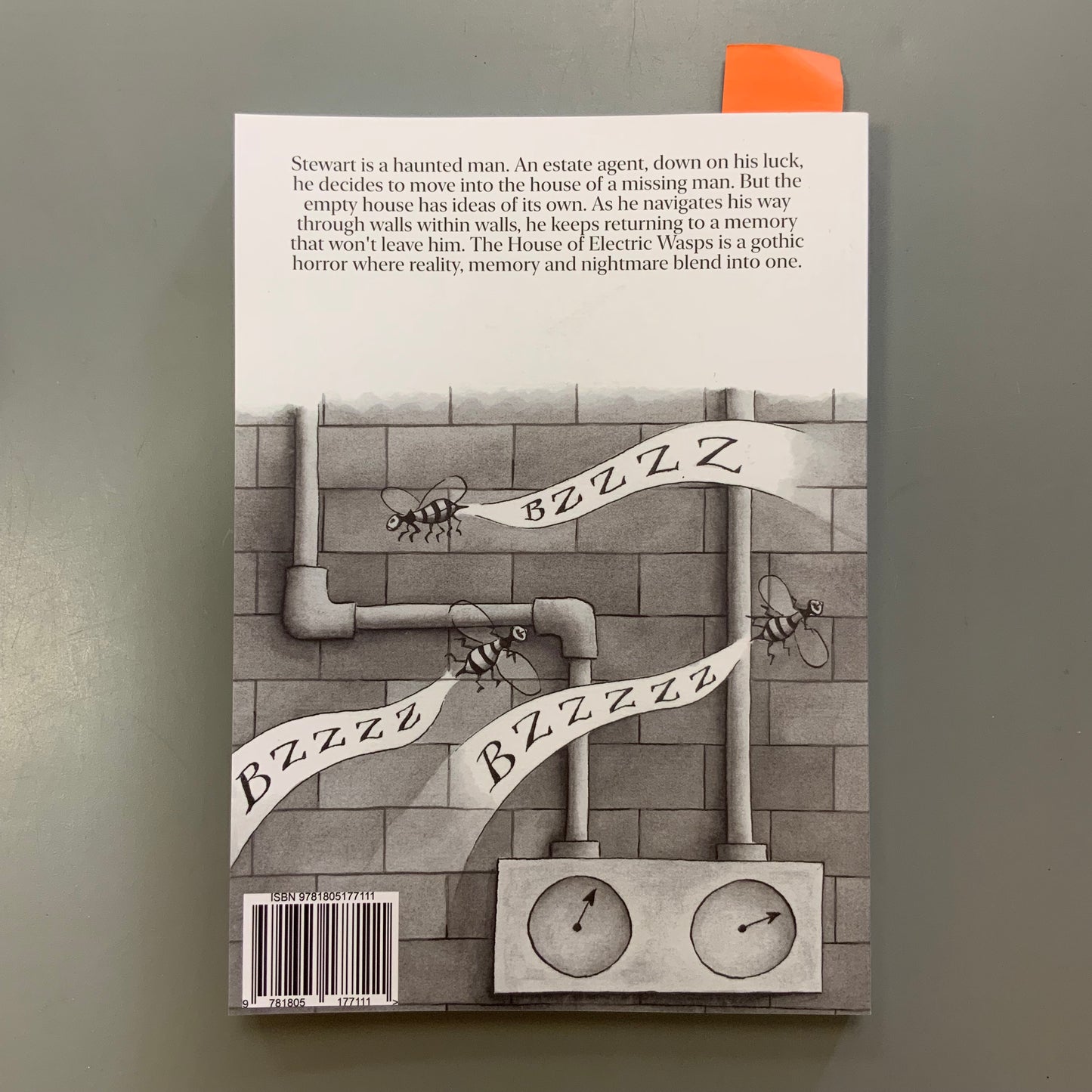 The House of Electric Wasps