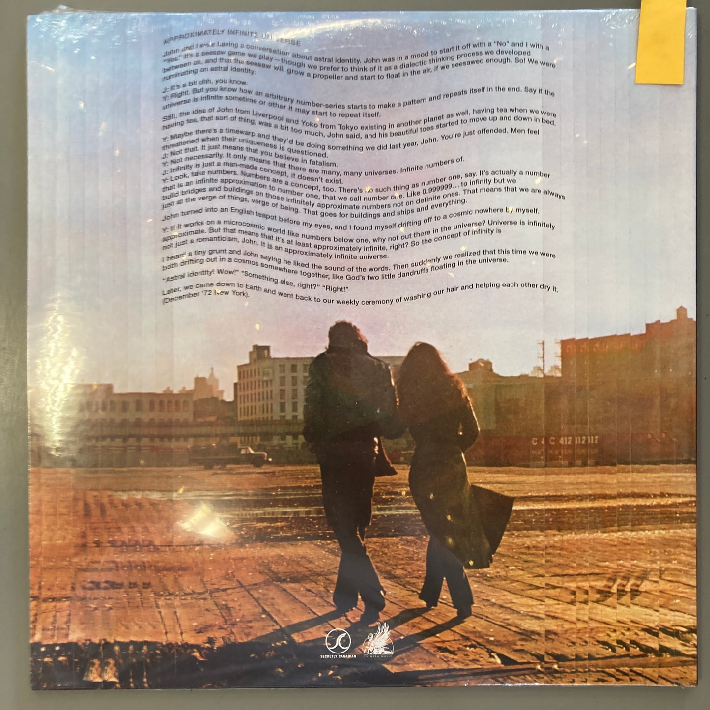 Approximately Infinite Universe (Vinyl)