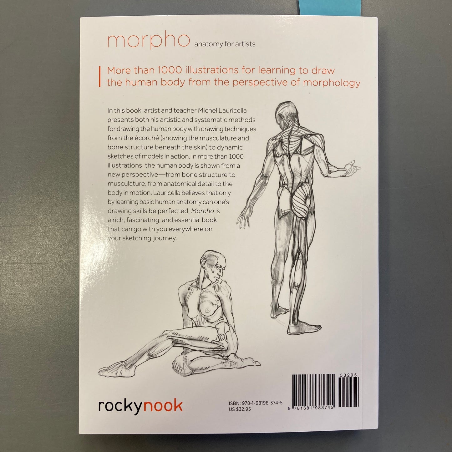 Morpho: Anatomy for Artists