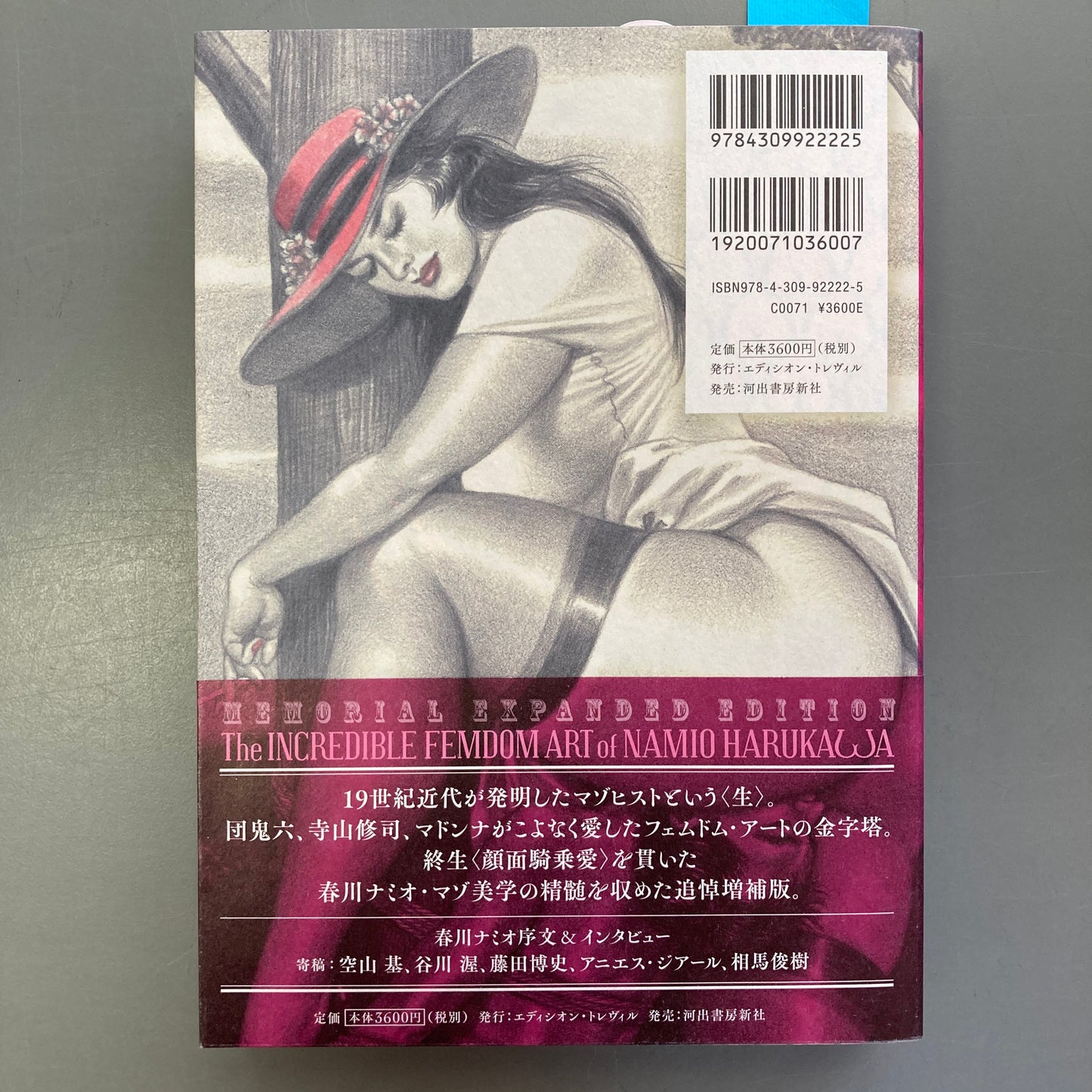 The Incredible Femdom Art of Namio Harukawa