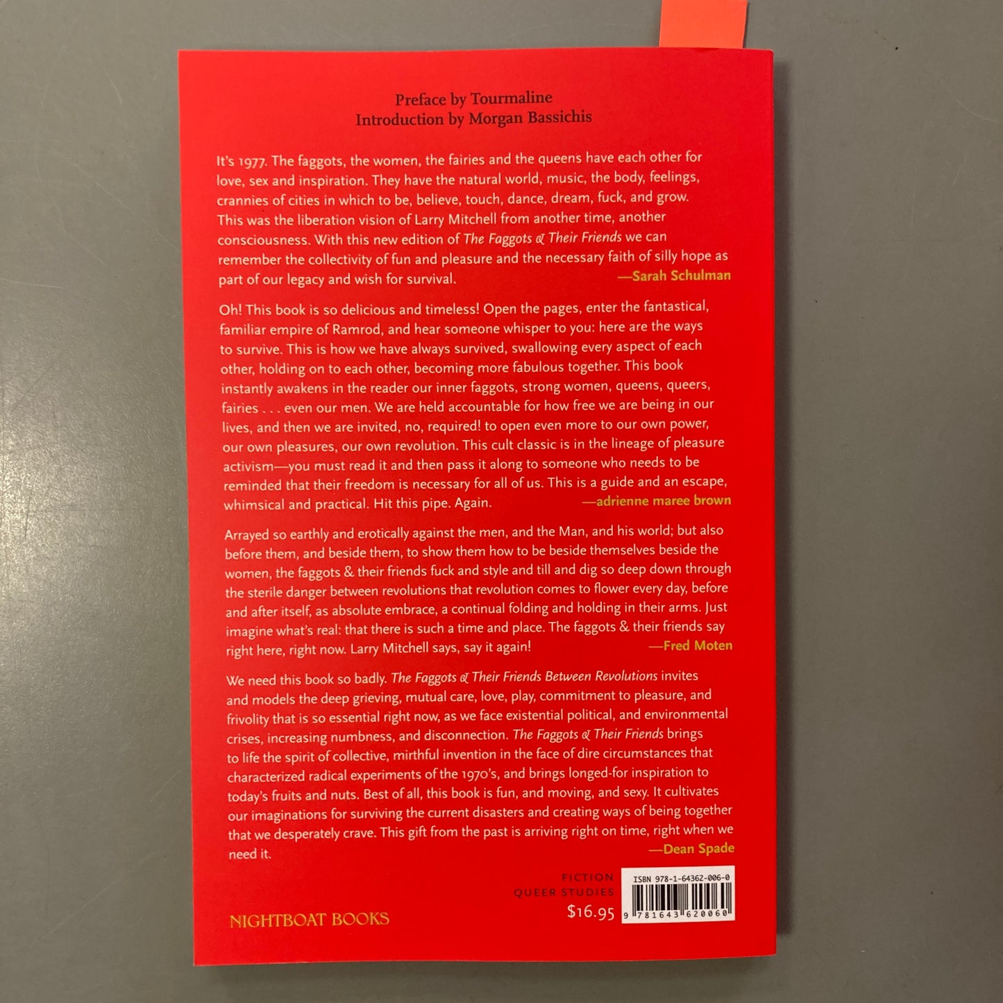 The Faggots and their Friends Between Revolutions