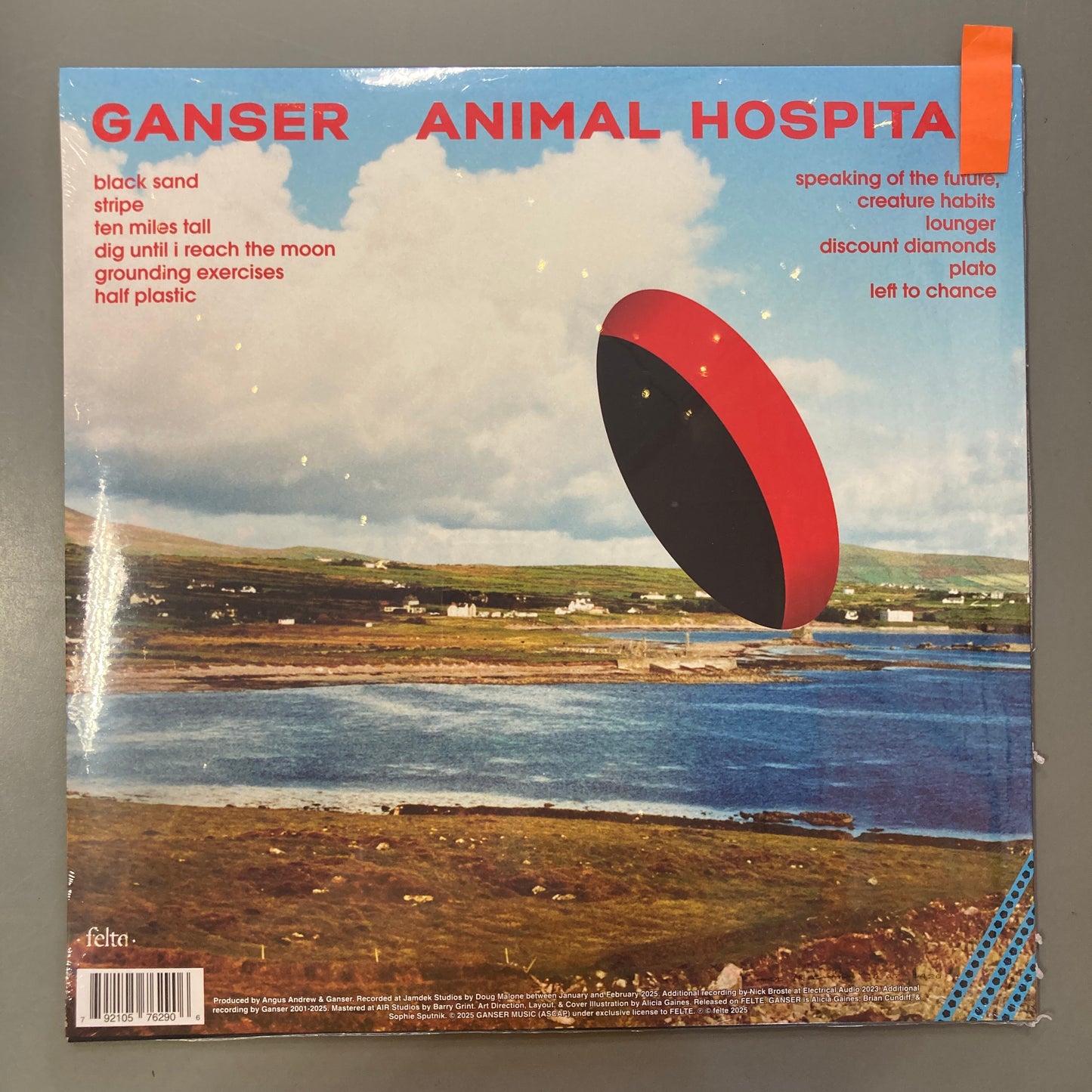 Animal Hospital (Vinyl)