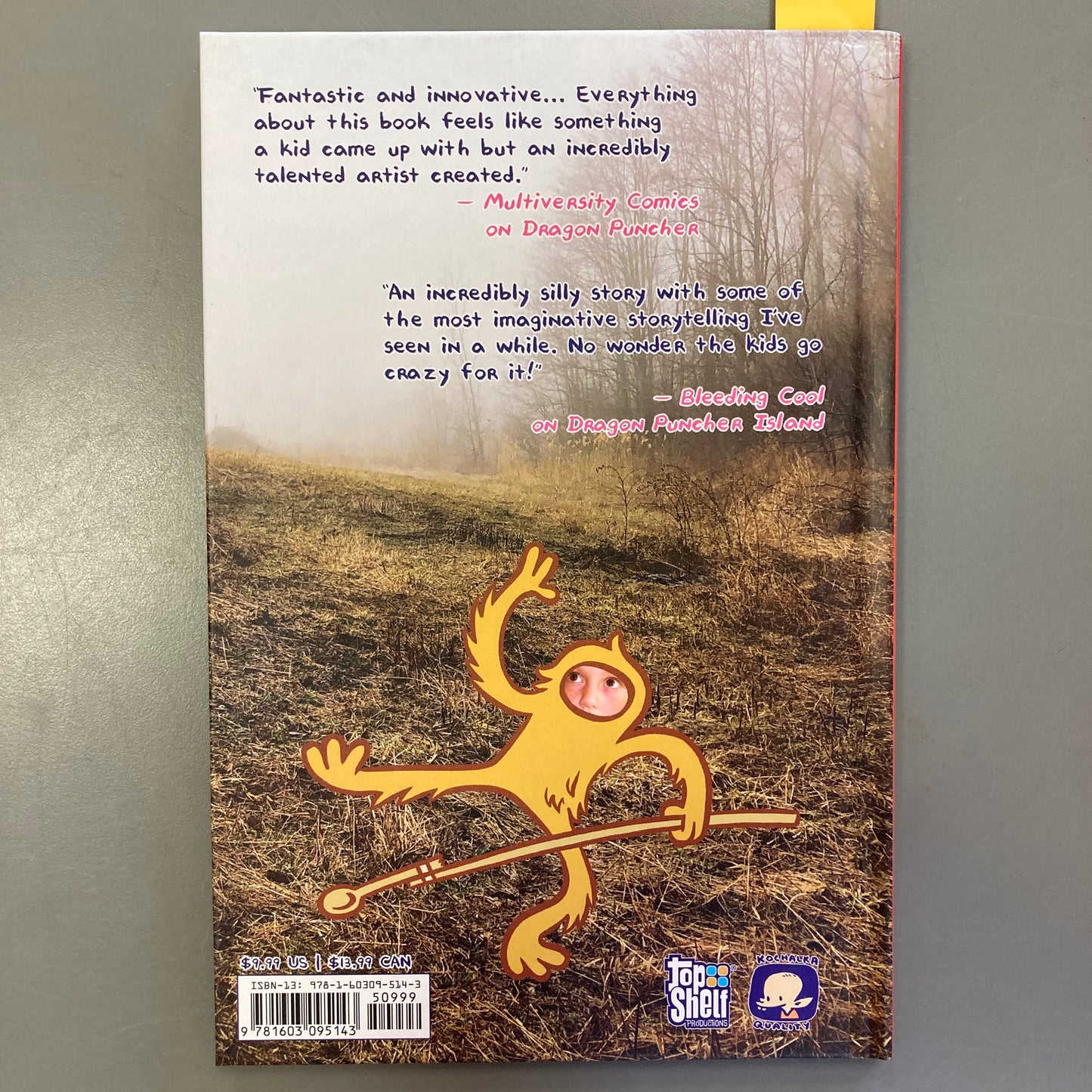 Dragon Puncher Punches Back