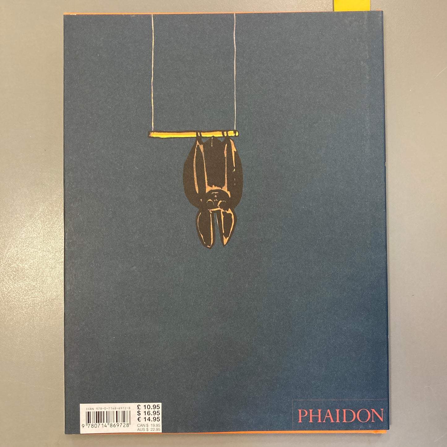 Rufus, The Bat Who Loved Colours