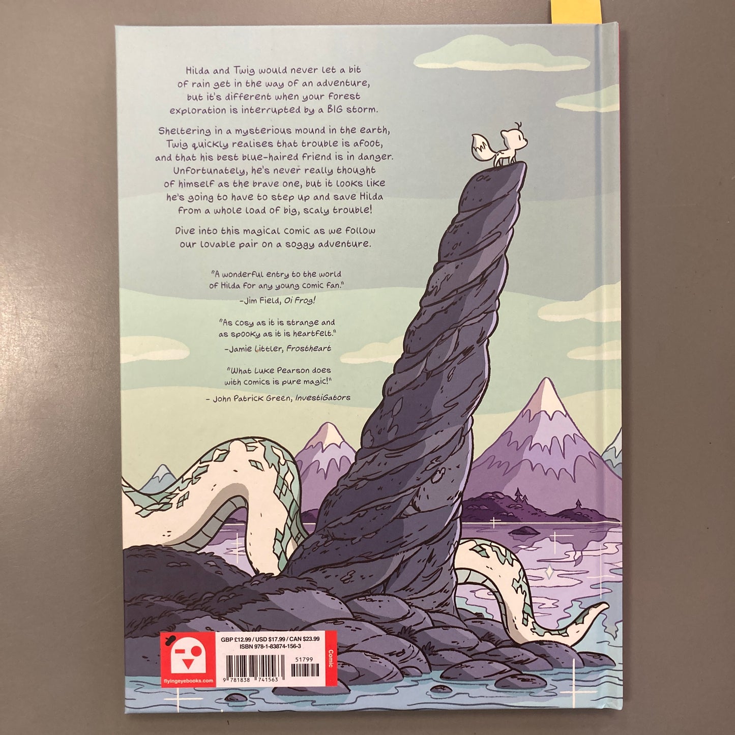 Hilda and Twig Hide From the Rain (Hardcover)