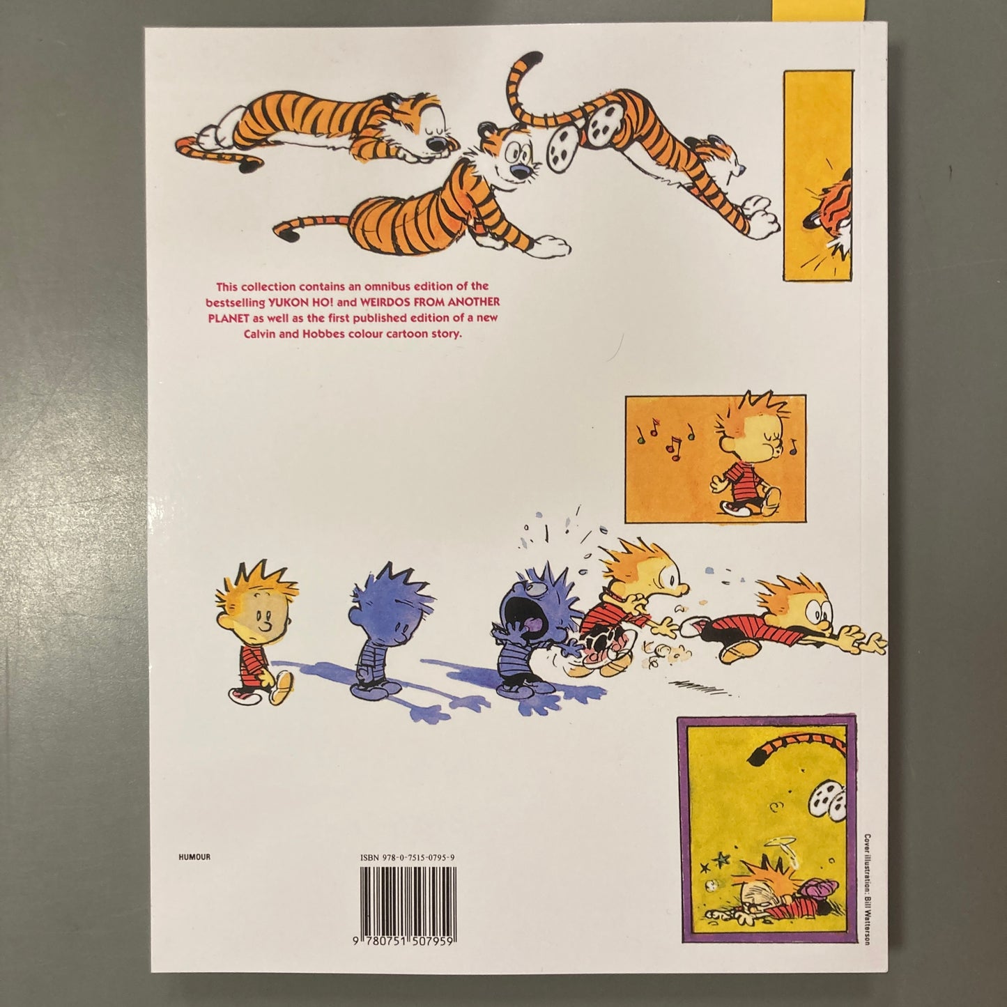 The Authoritative Calvin and Hobbes
