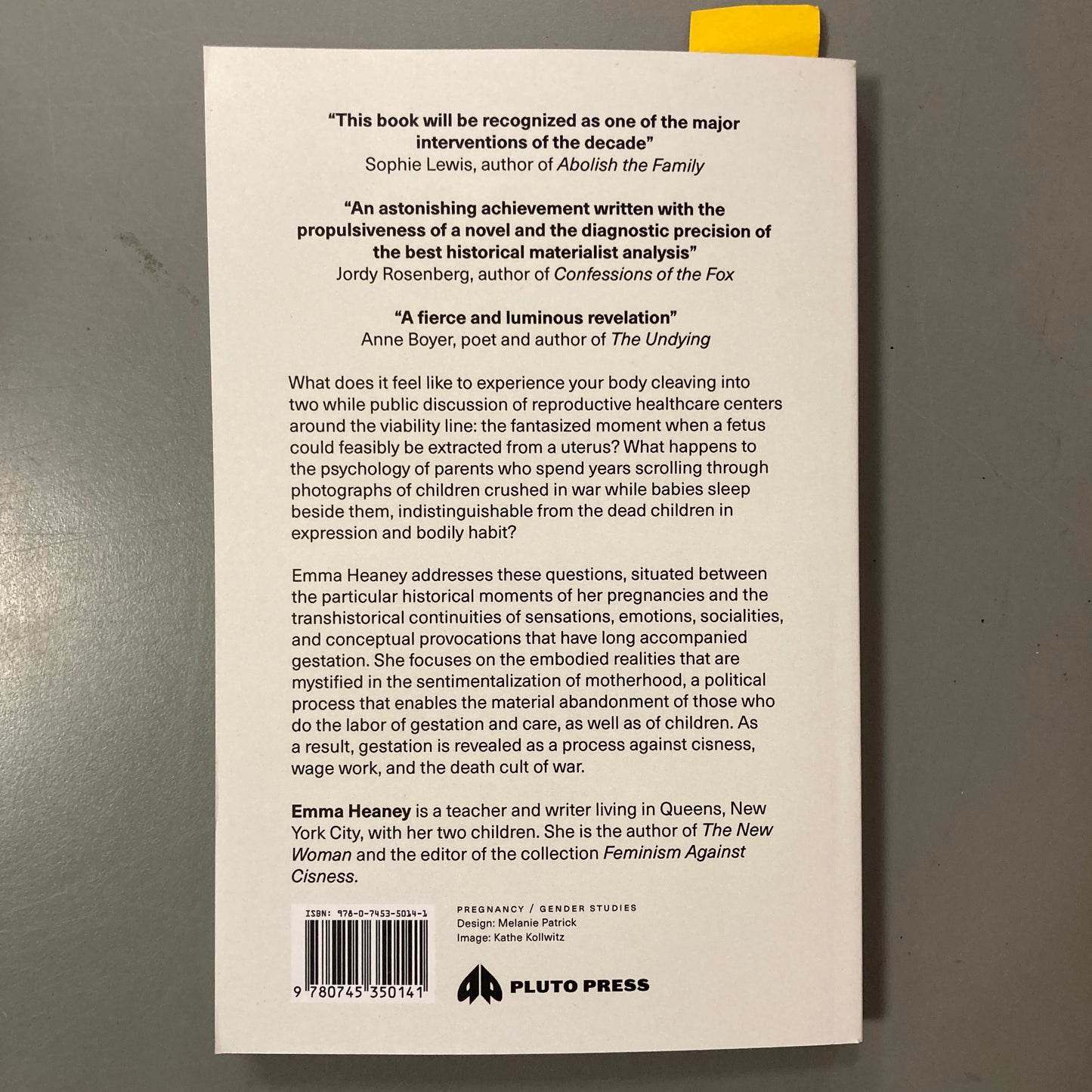 This Watery Place: Four Essays on Gestation