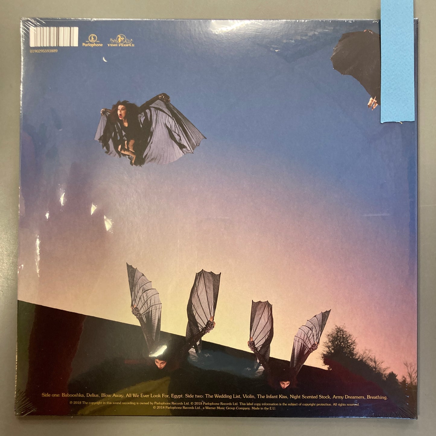 Never for Ever (Vinyl)