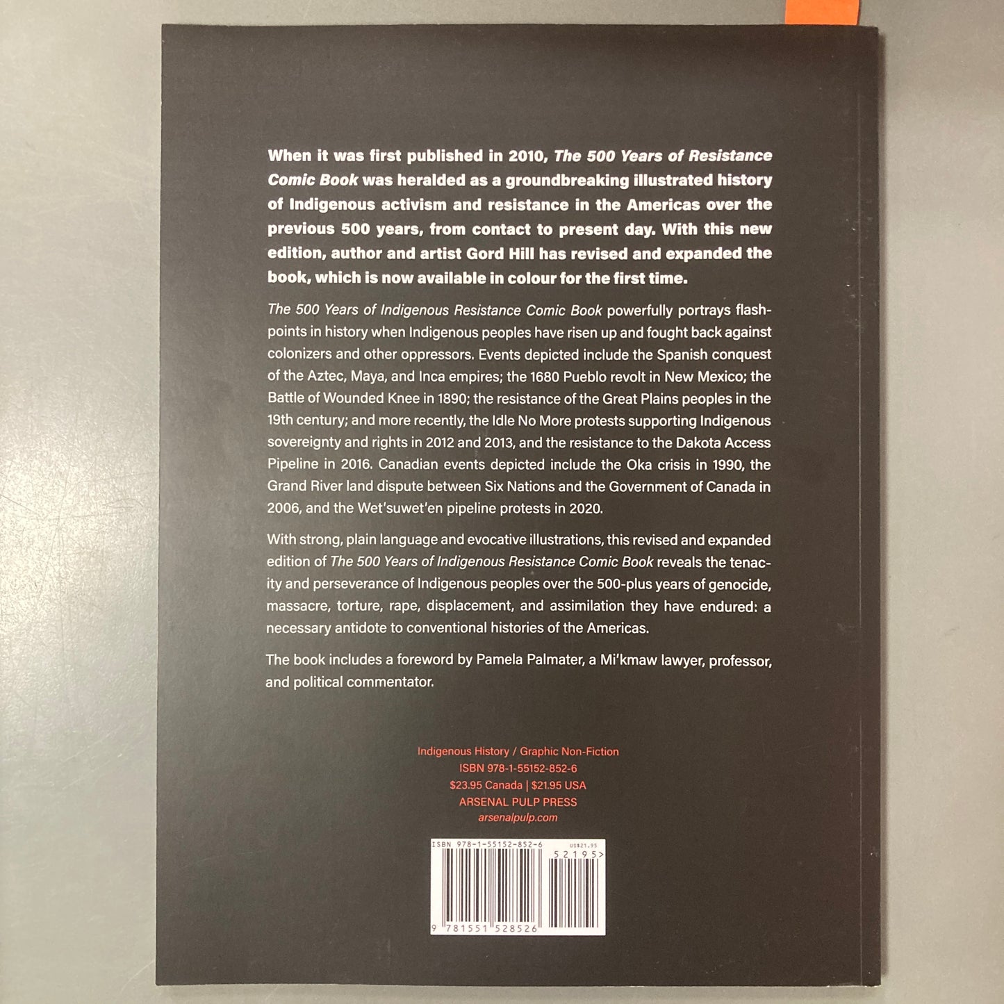 The 500 Years of Indigenous Resistance Comic Book