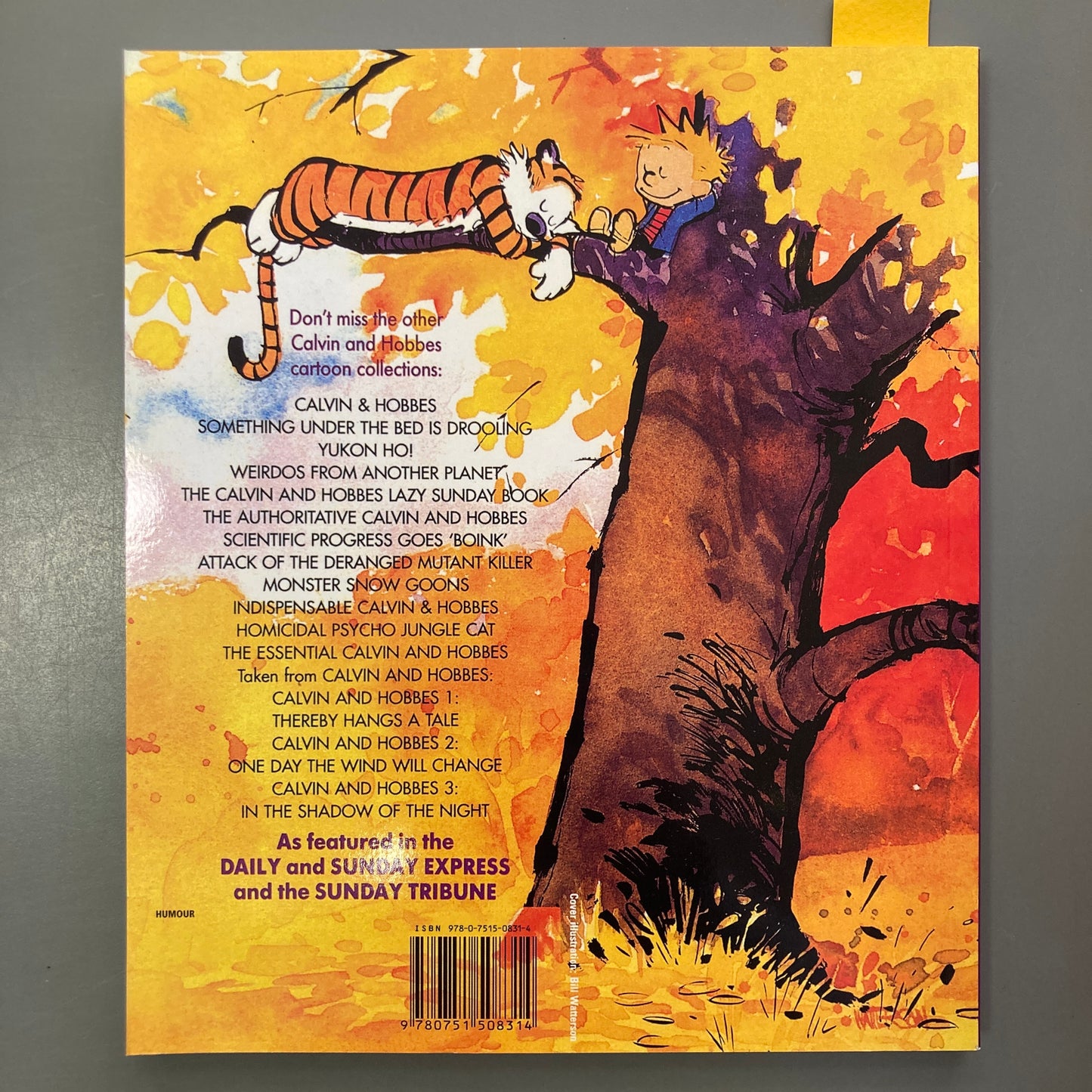 Calvin and Hobbes: Revenge of the Baby-Sat