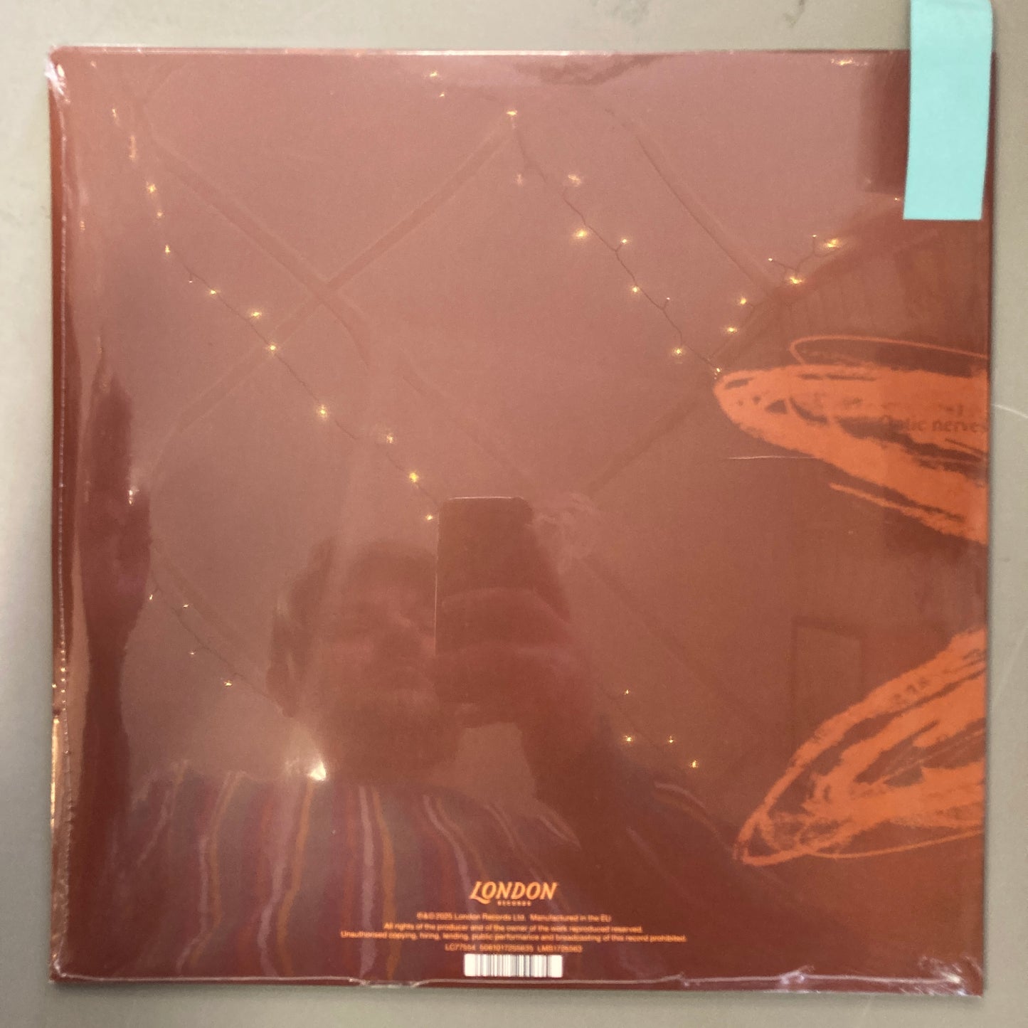 The Brown Album (Vinyl)