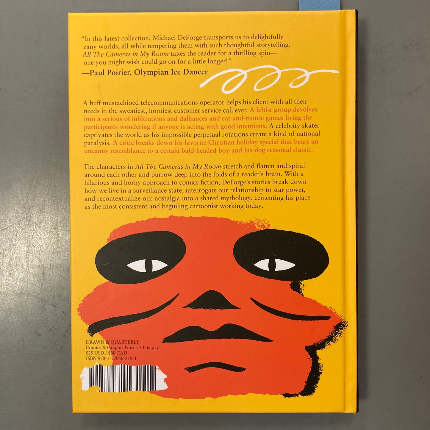 All the Cameras in My Room