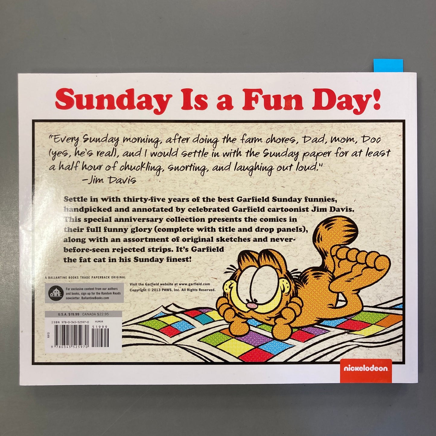 Garfield's Sunday Finest