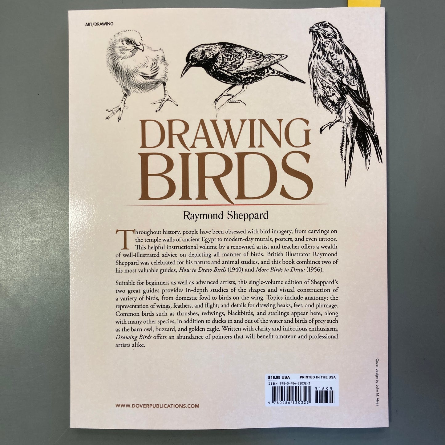 Drawing Birds