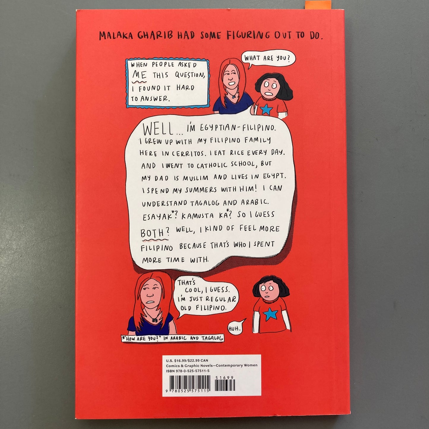 I Was Their American Dream