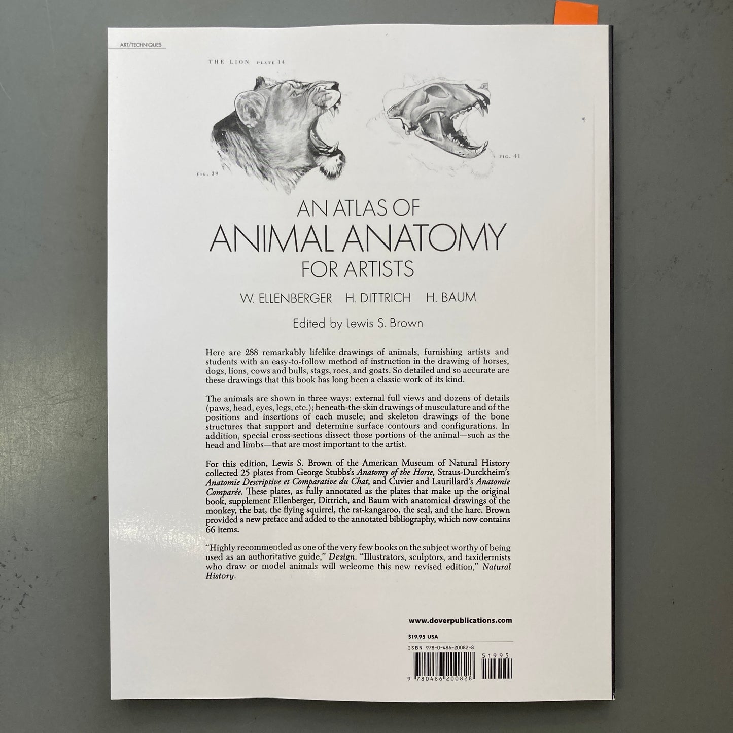 An Atlas of Animal Anatomy for Artists