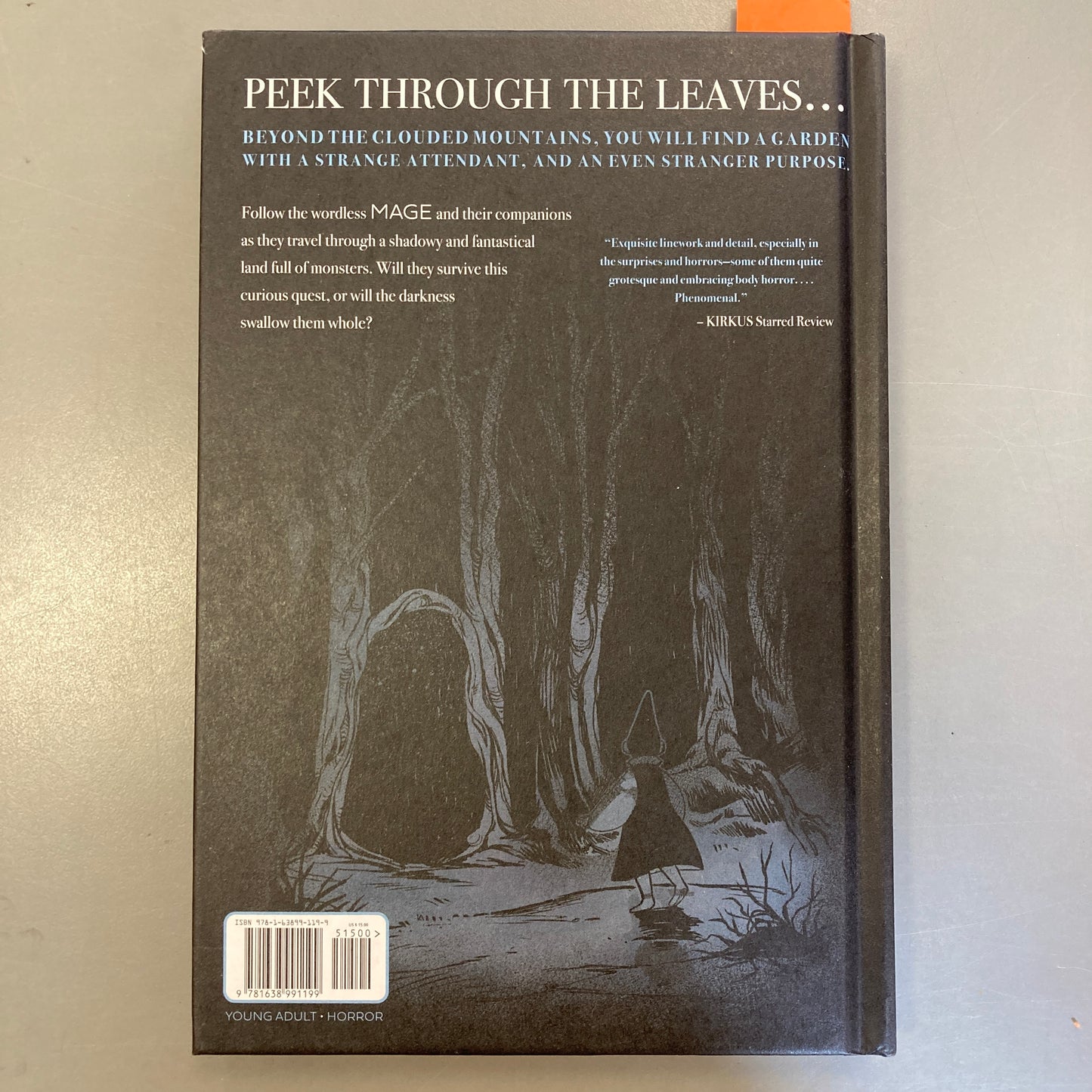 Mage and the Endless Unknown