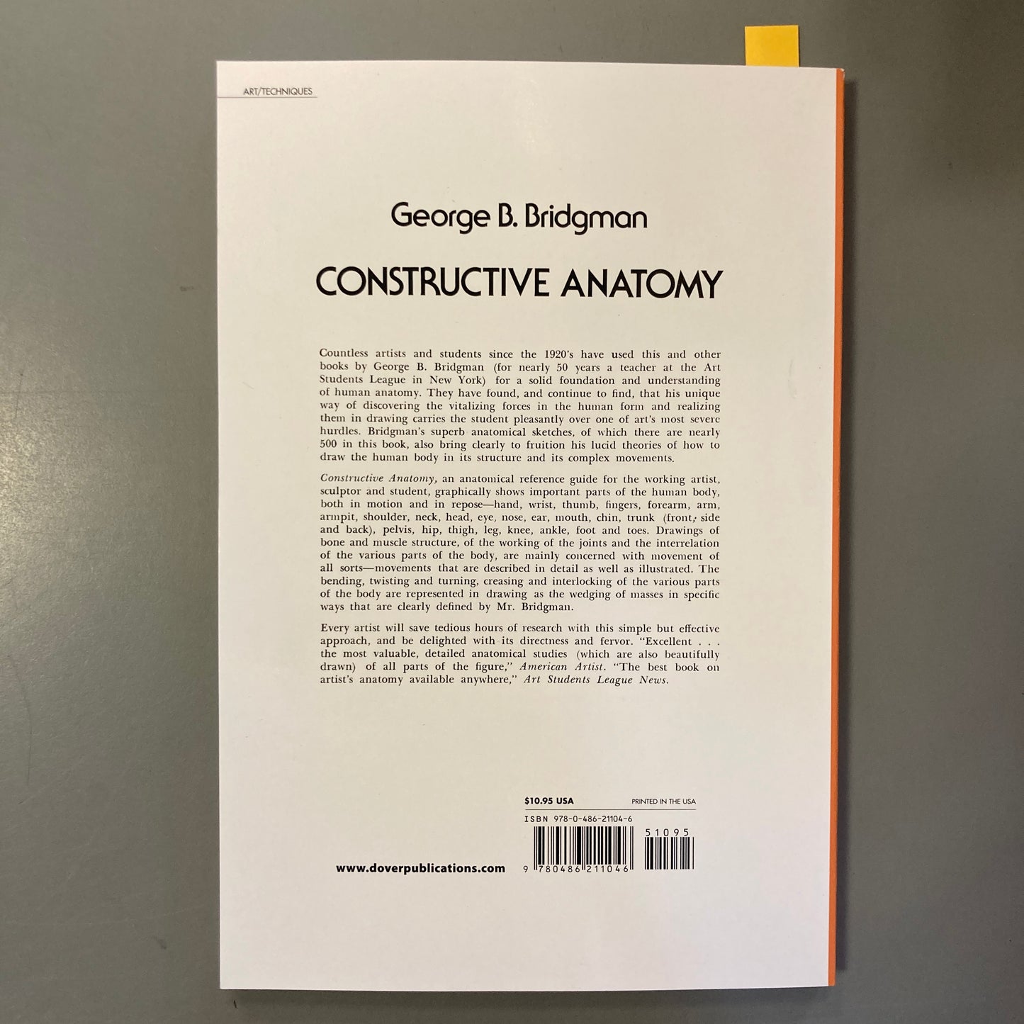 Constructive Anatomy