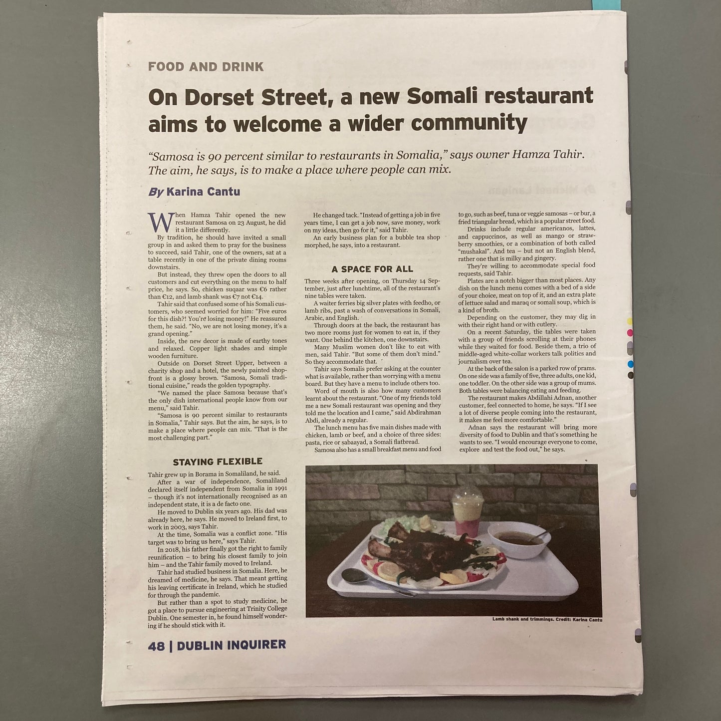 Dublin Inquirer: Issue 91