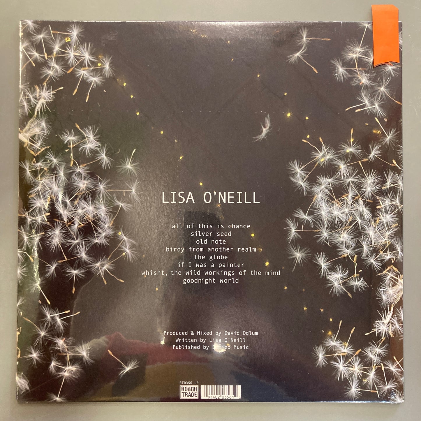 All of this Chance (Vinyl)