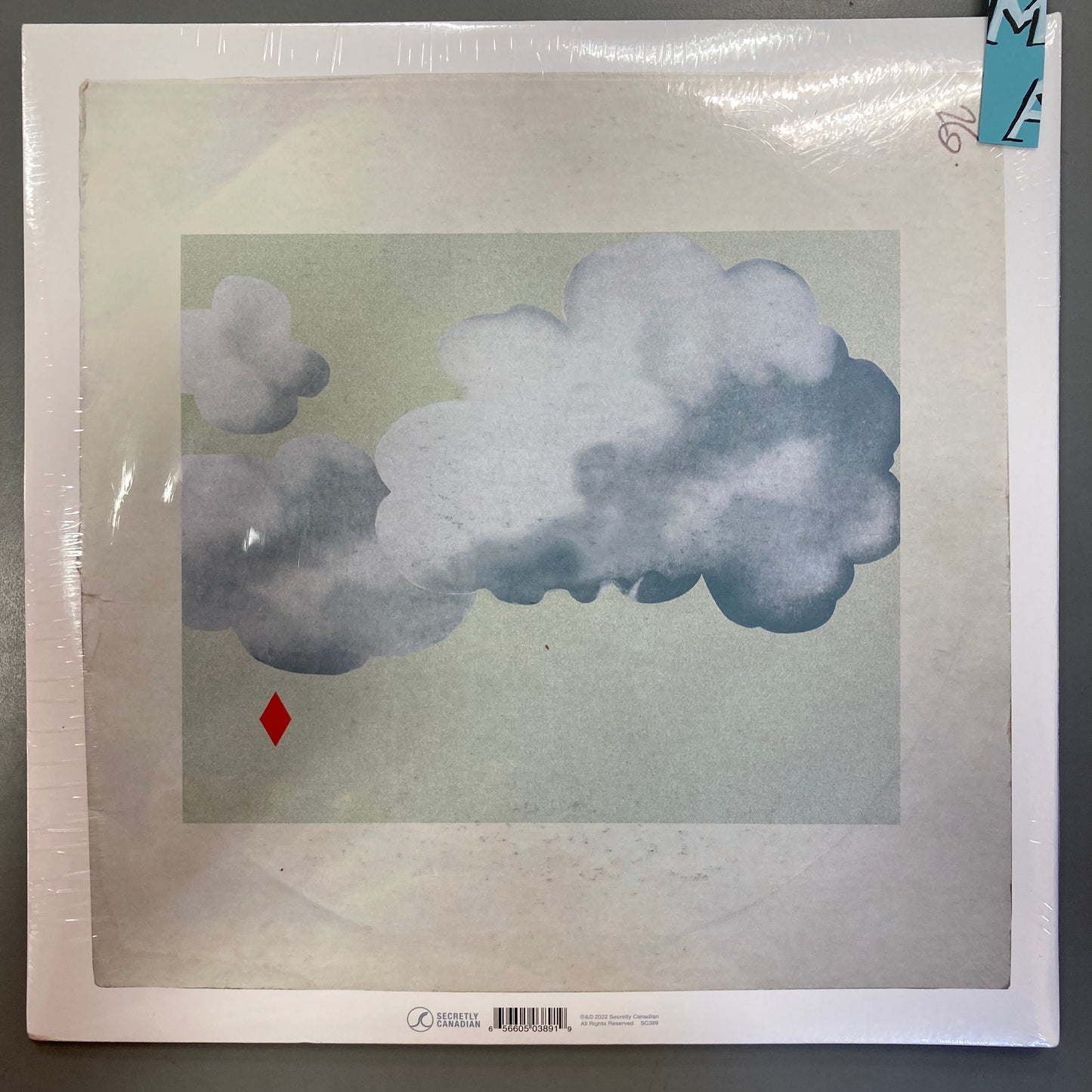 The Linden Trees Are Still in Bloom (Vinyl)
