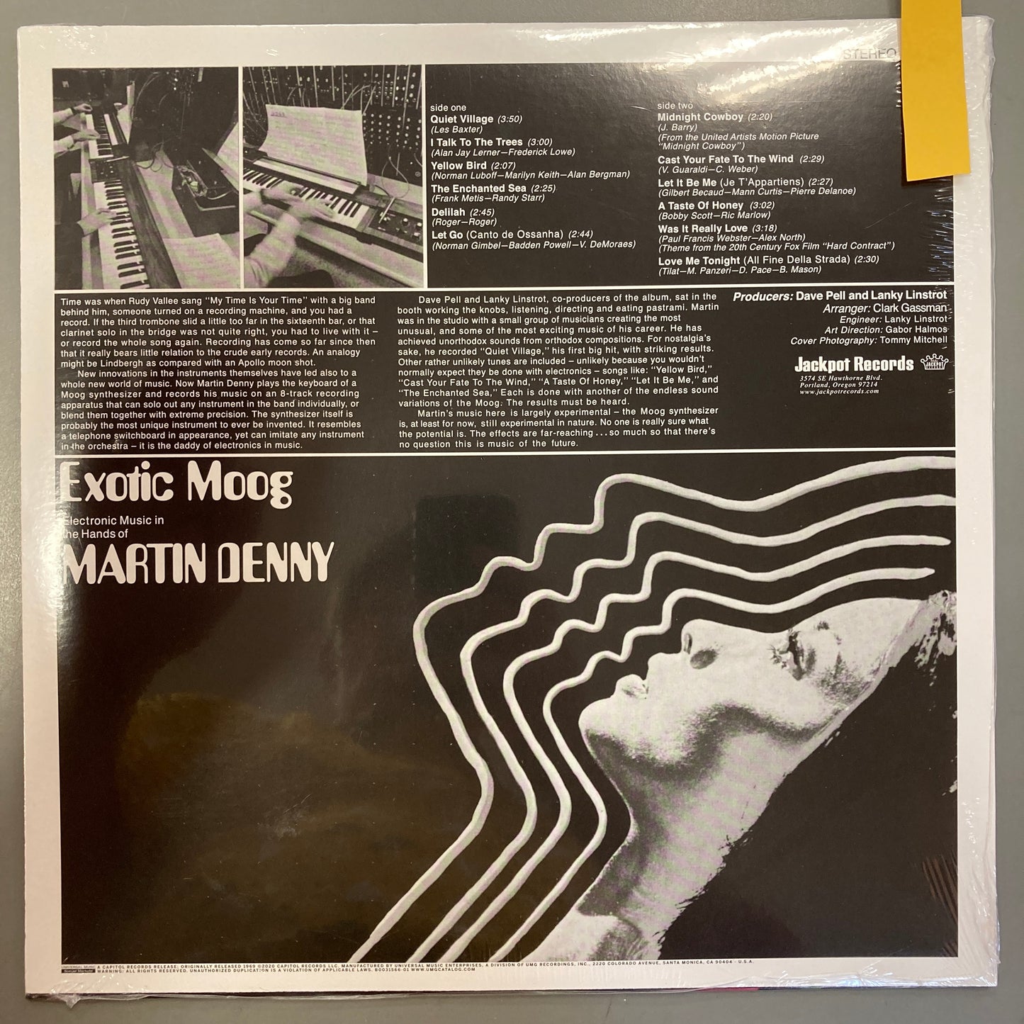 Exotic Moog (Vinyl)