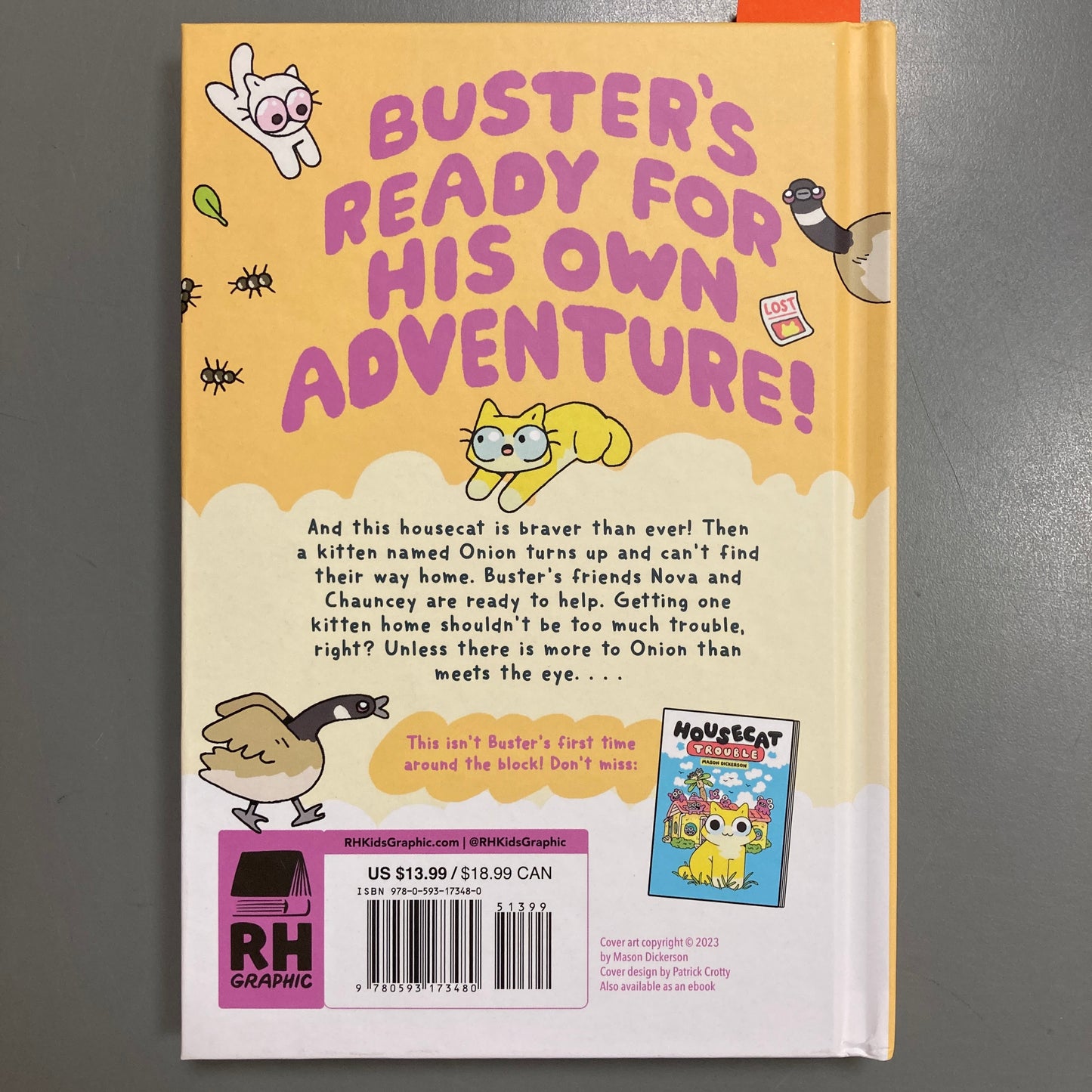 Housecat Trouble: Lost and Found