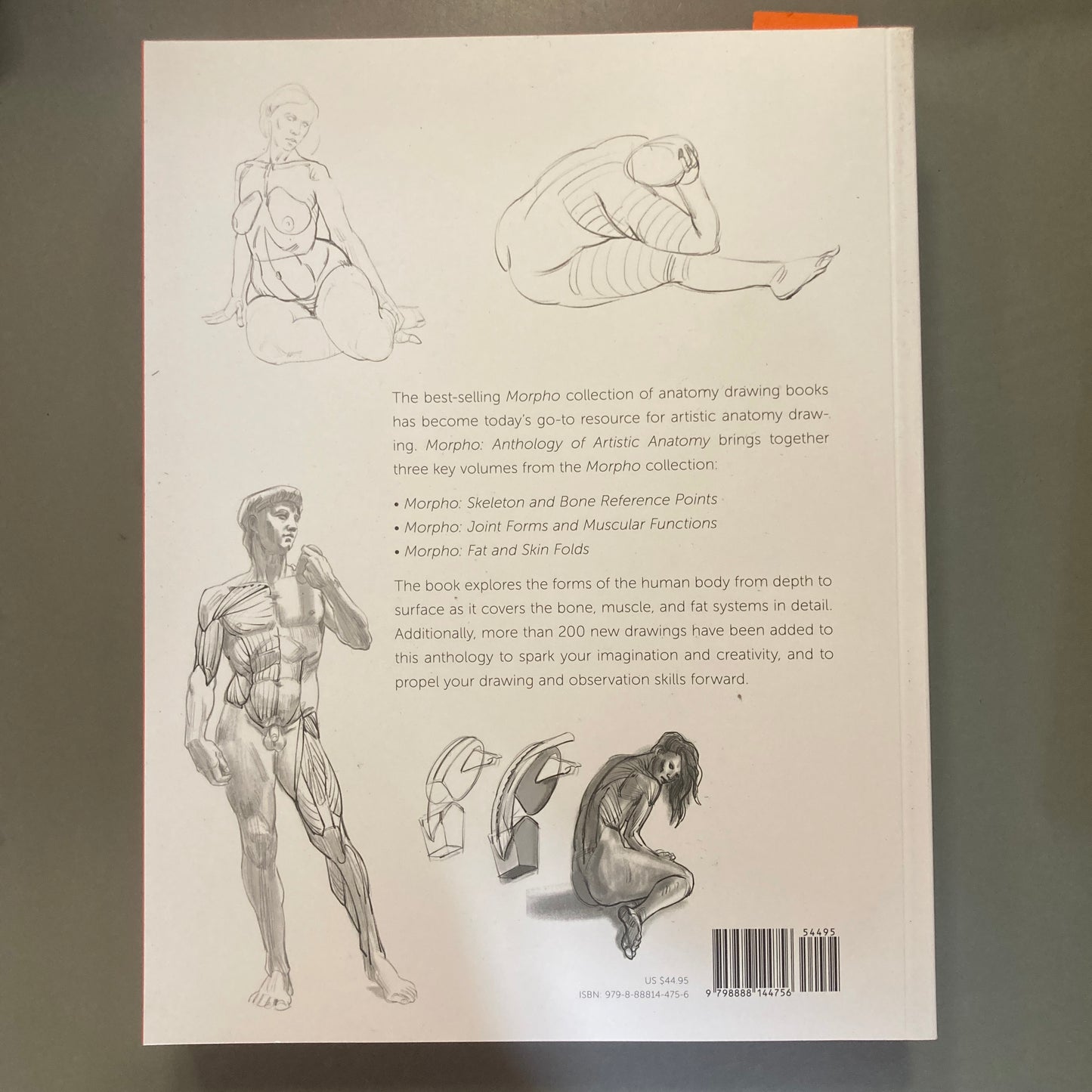Morpho: Anthology of Artistic Anatomy