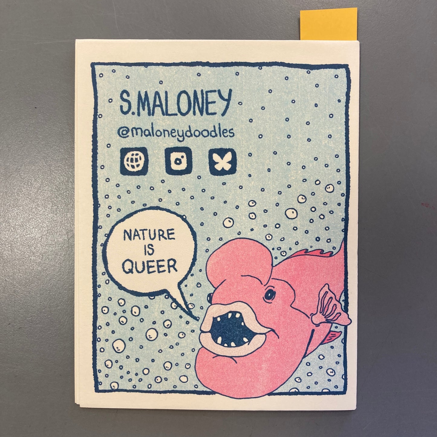 Queer Ecology: Kobudai Fish