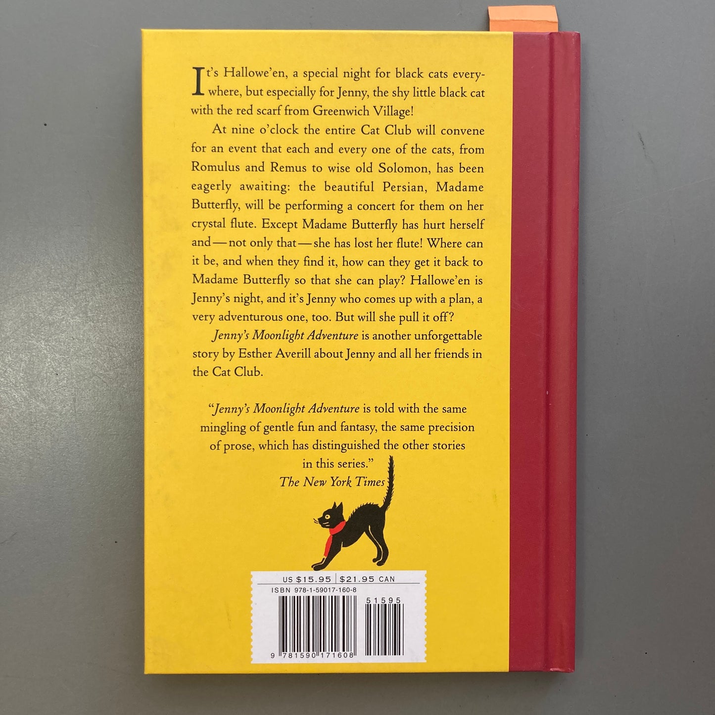 Jenny's Moonlight Adventure