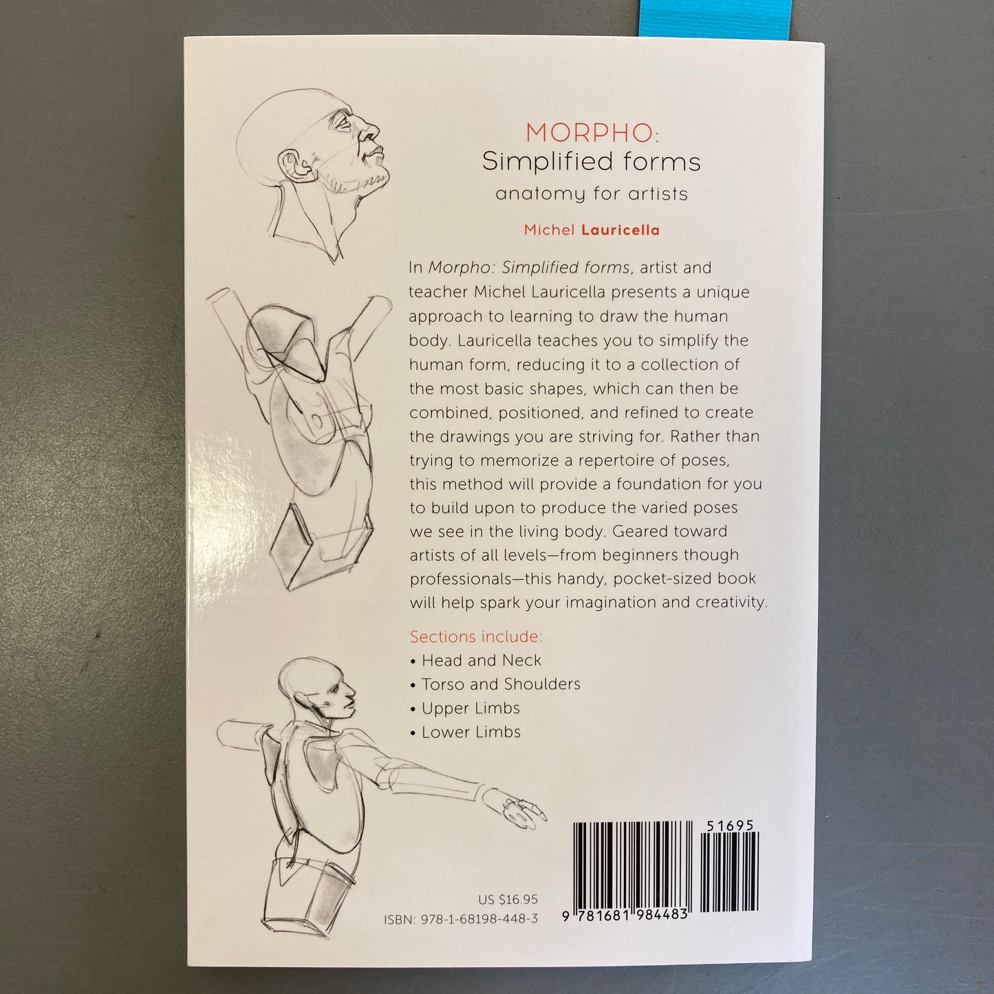 MORPHO: Simplified Forms