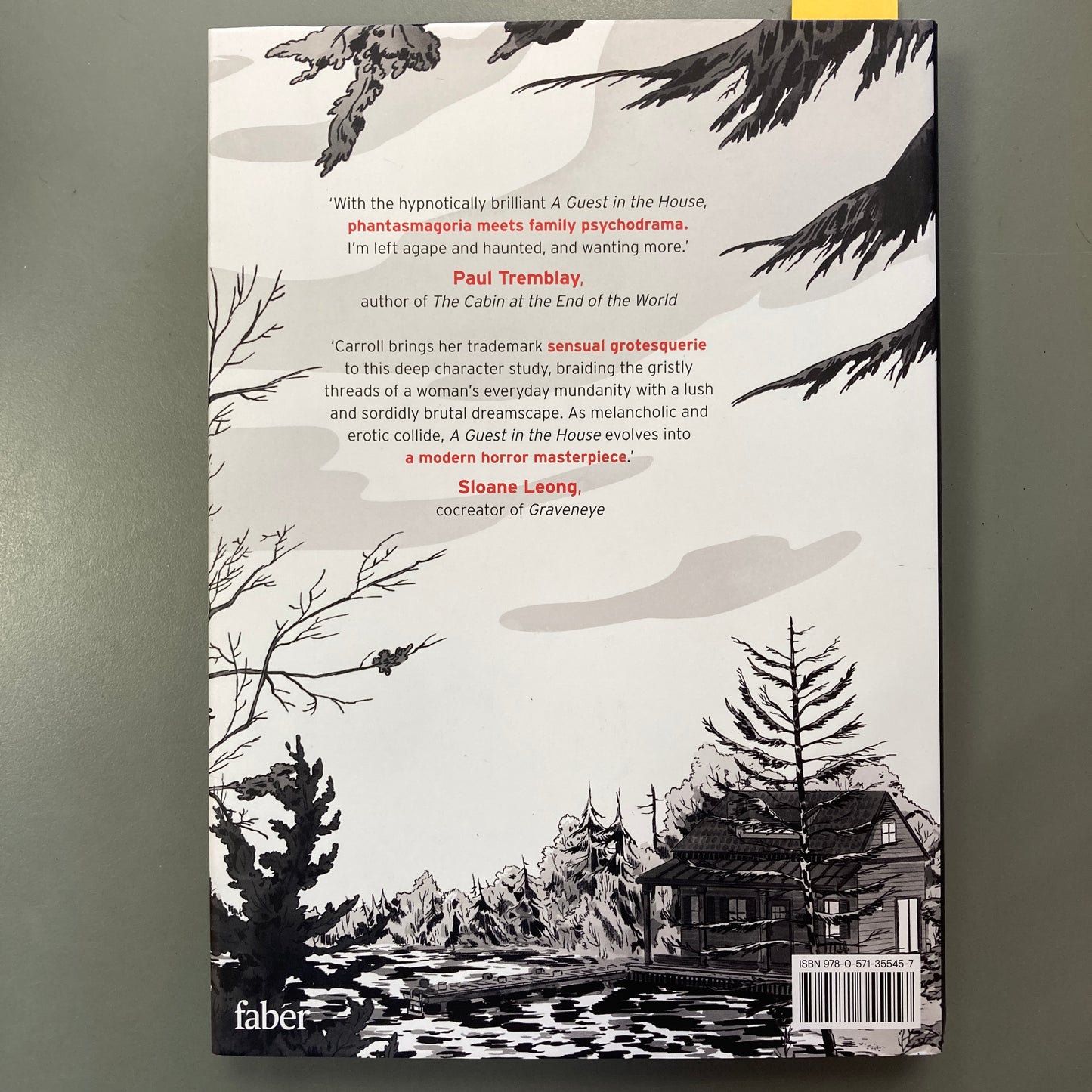 A Guest in the House (Hardcover)