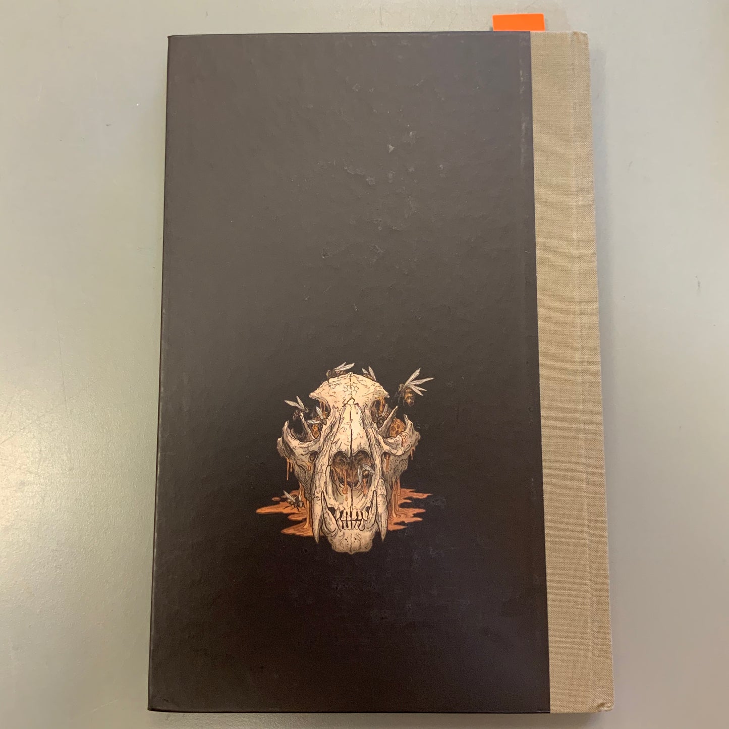 Andromeda or The Long Way Home