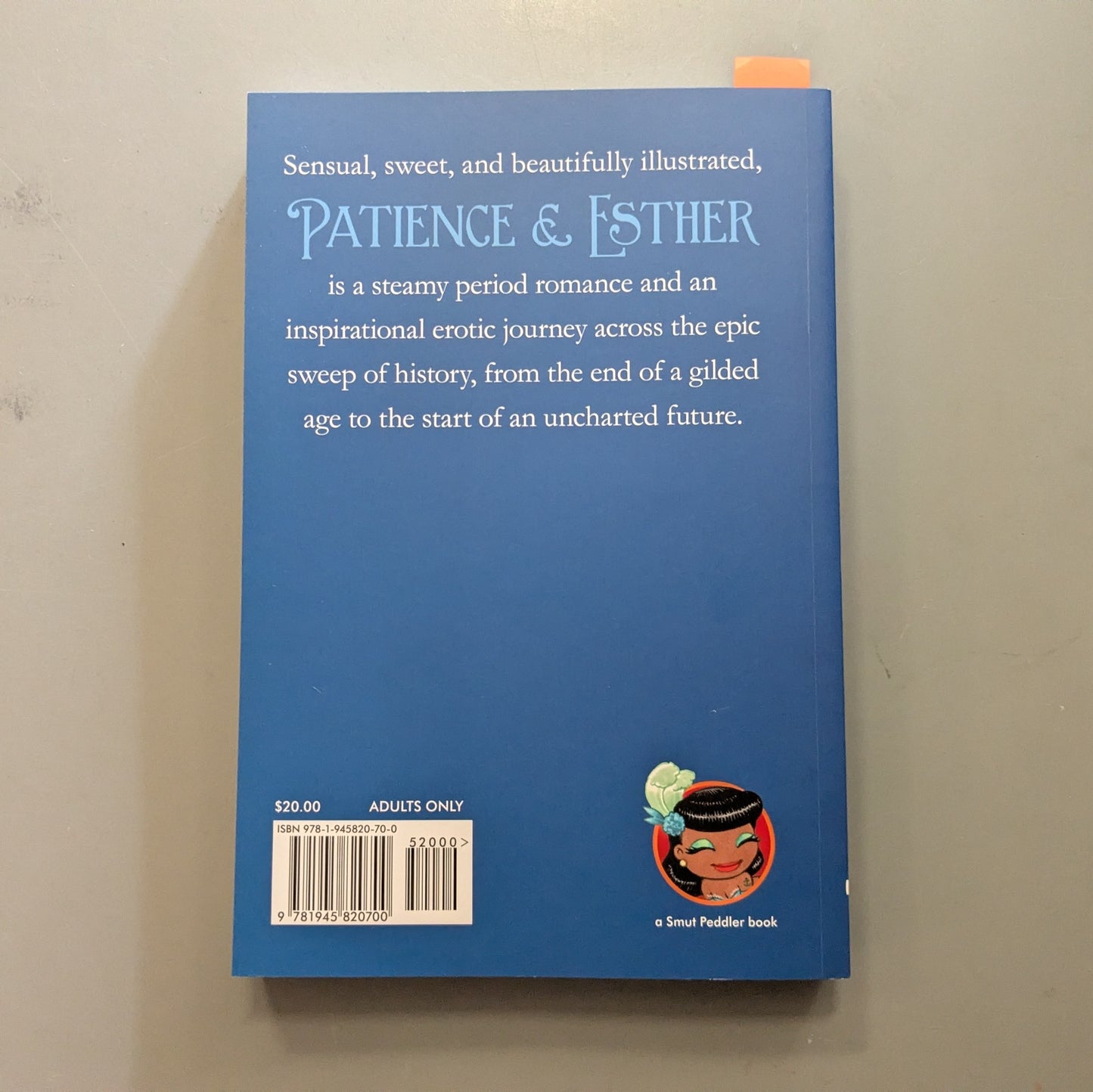 Patience And Esther: An Edwardian Romance
