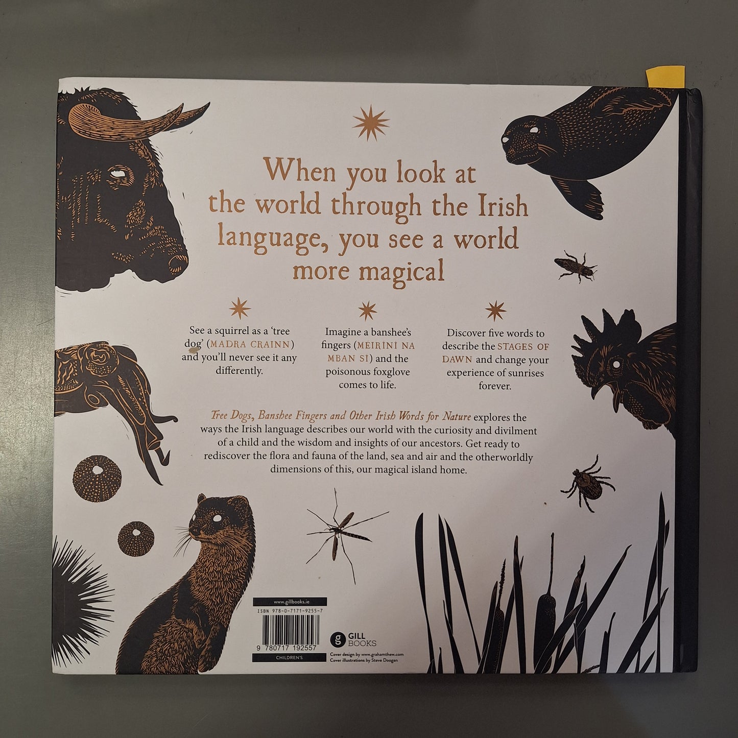 Tree Dogs, Banshee Fingers and Other Irish Words for Nature