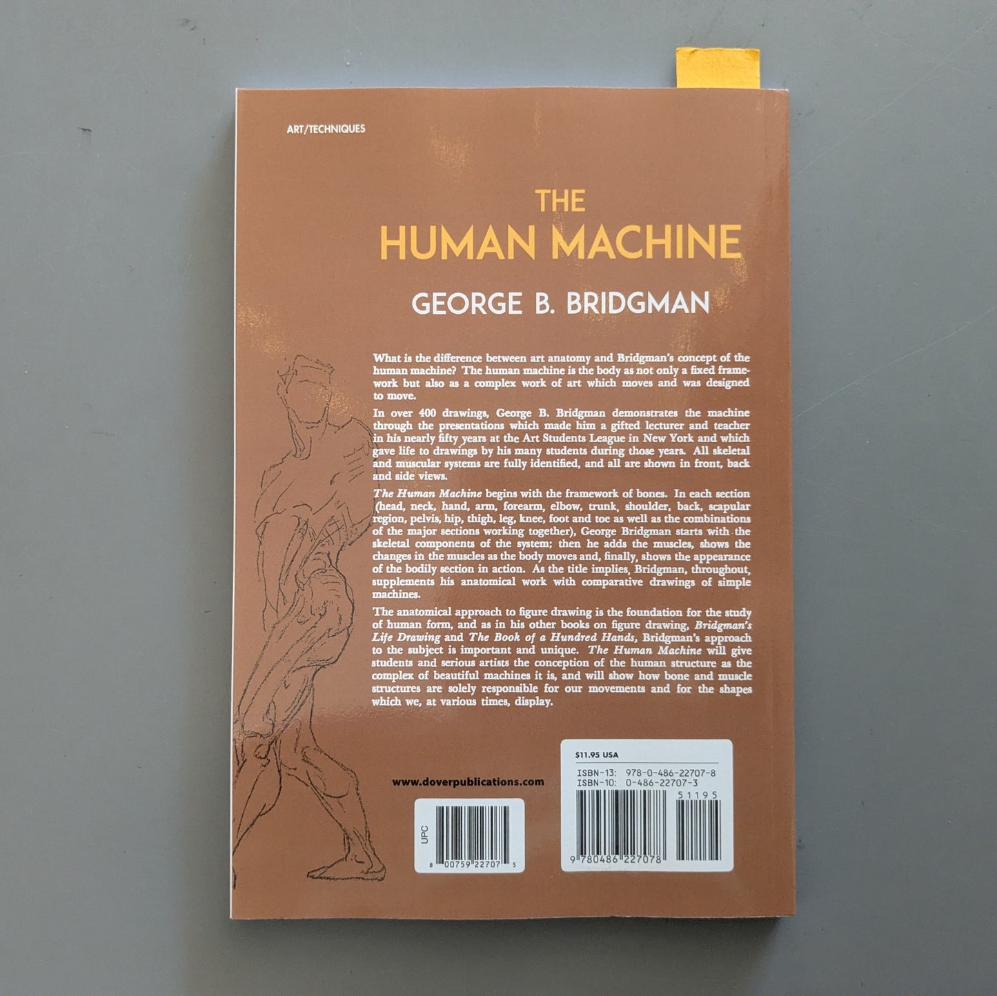 The Human Machine: The Anatomical Structure And Mechanism Of The Human Body