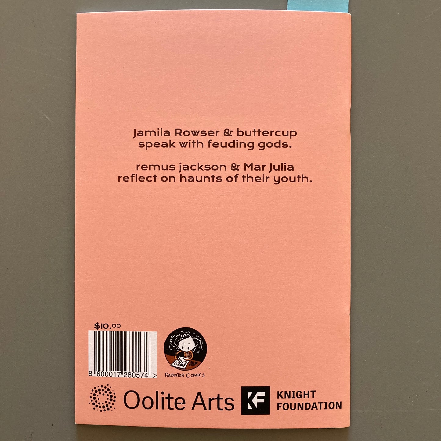 Spiny Orb Weaver no. 3