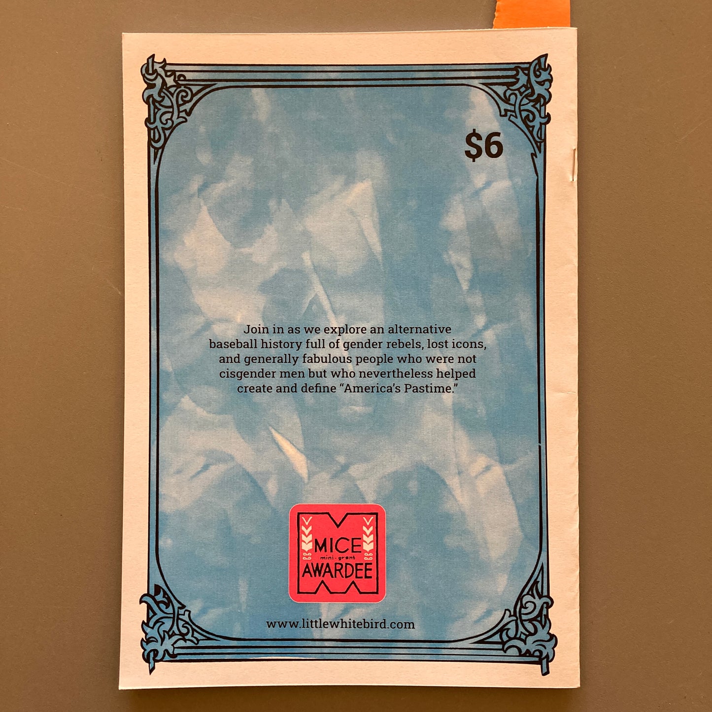 Lost Diamond: A History of Gender Rebellion in American Baseball