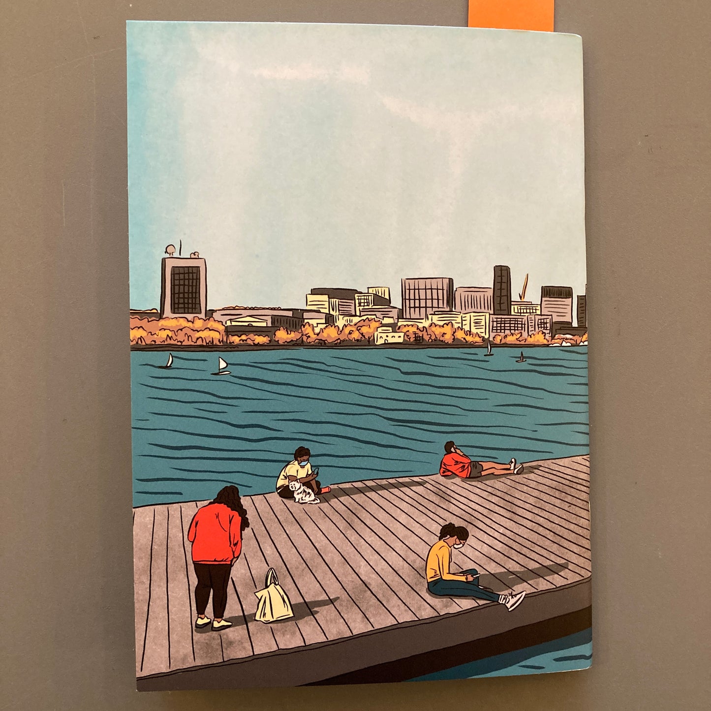 The Repatriation Diaries