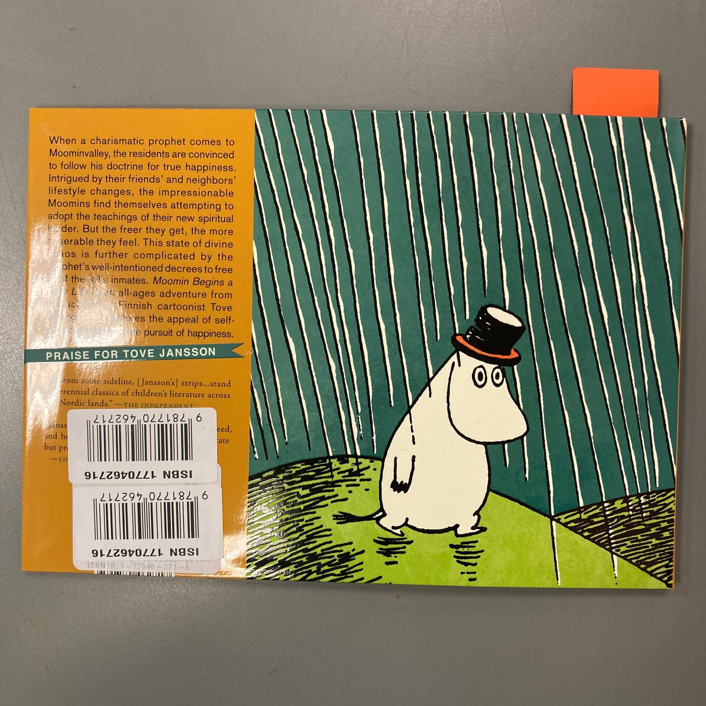 Moomin Begins A New Life