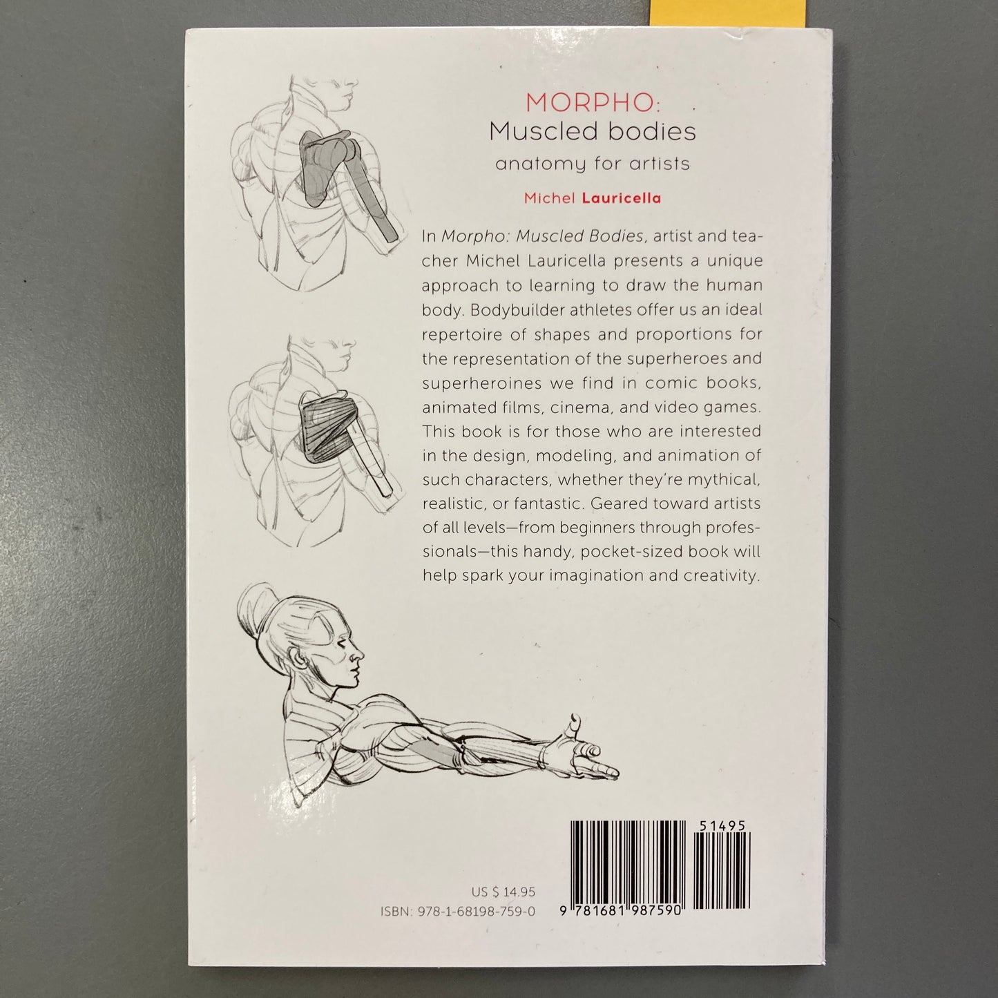 MORPHO: Muscled bodies