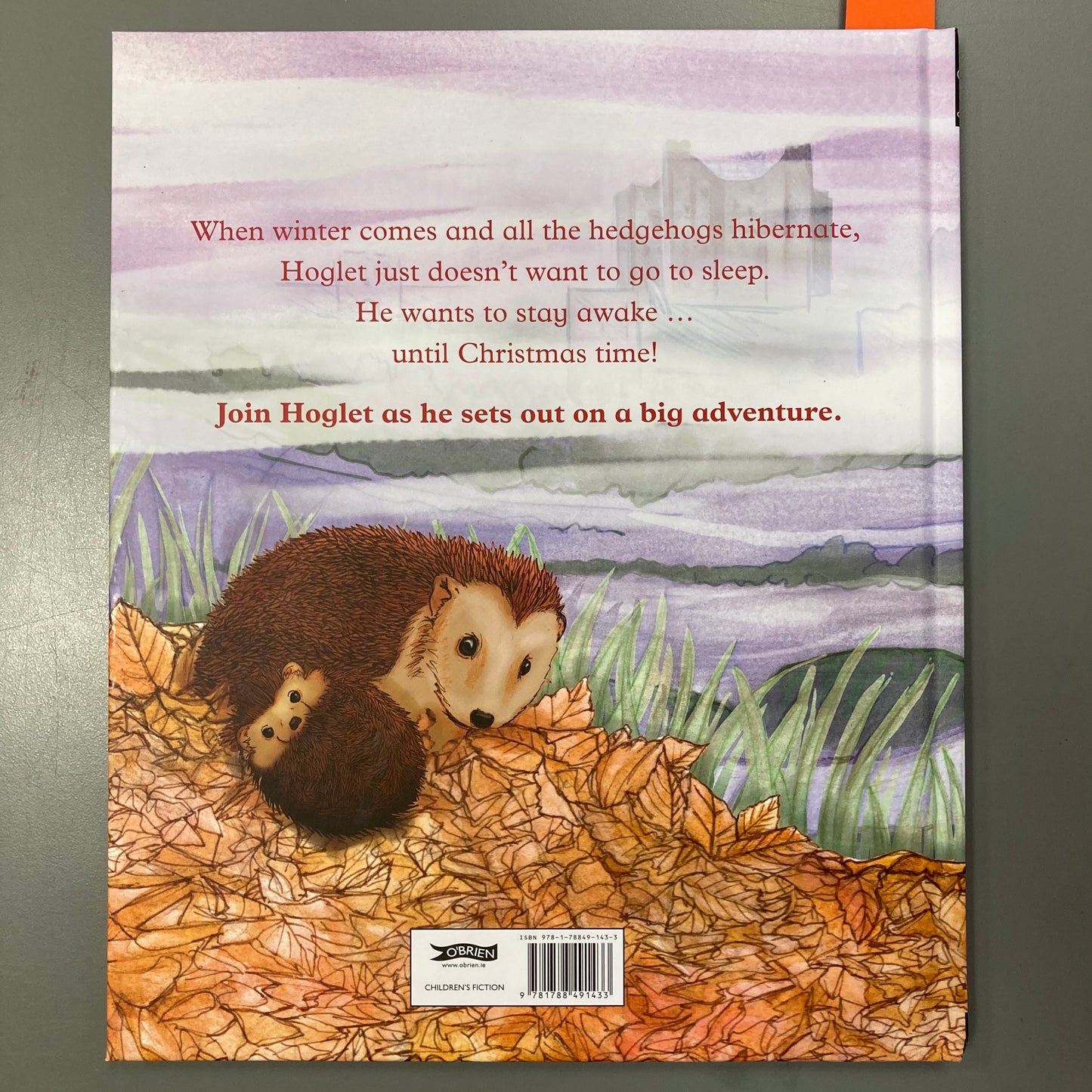 Go to Sleep, Hoglet!