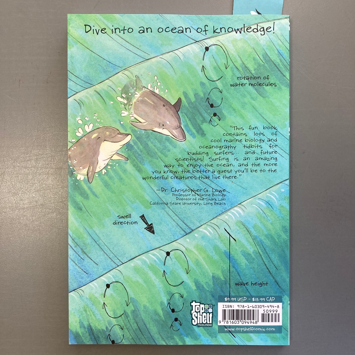 The Science of Surfing