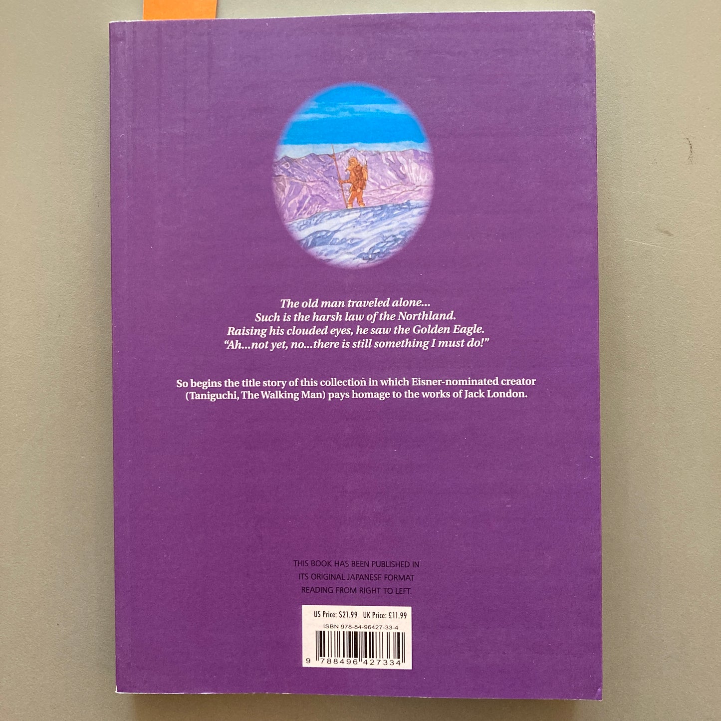 The Ice Wanderer and other stories