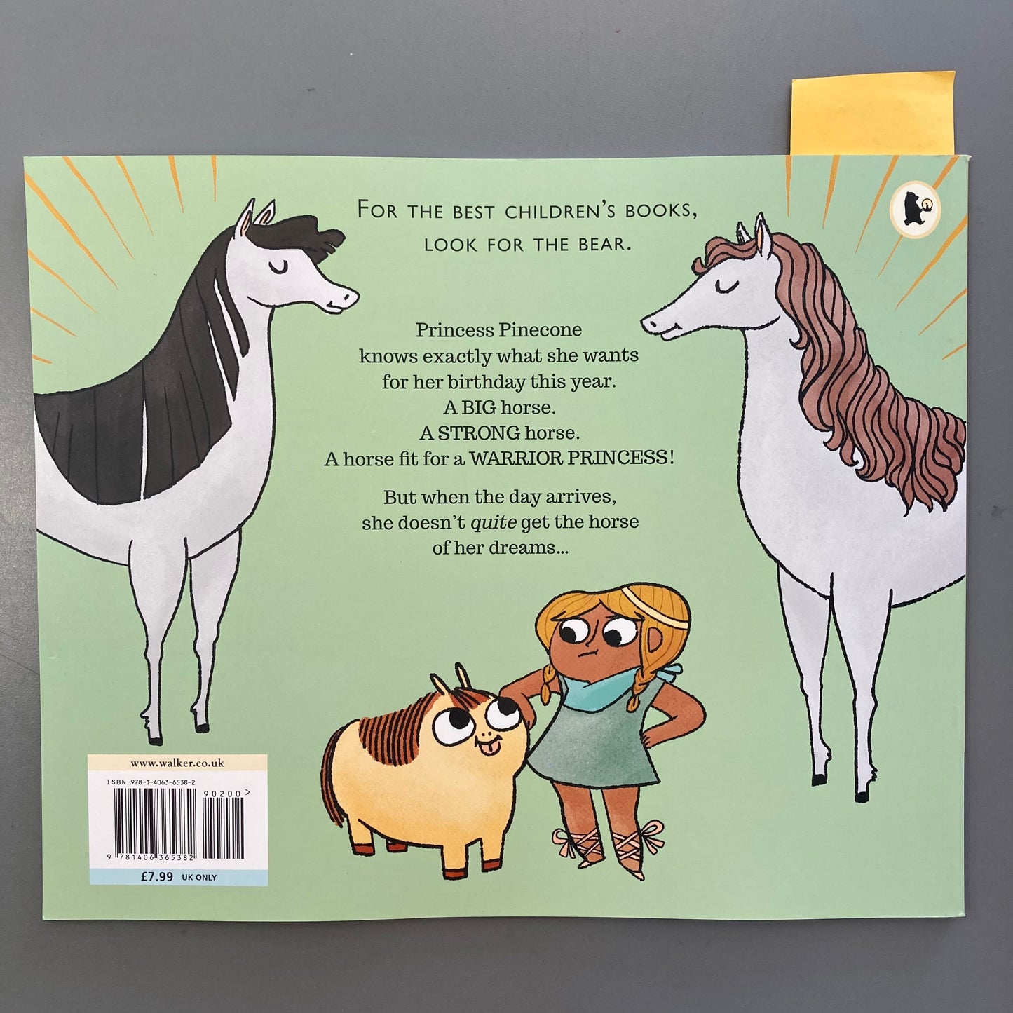 The Princess And The Pony