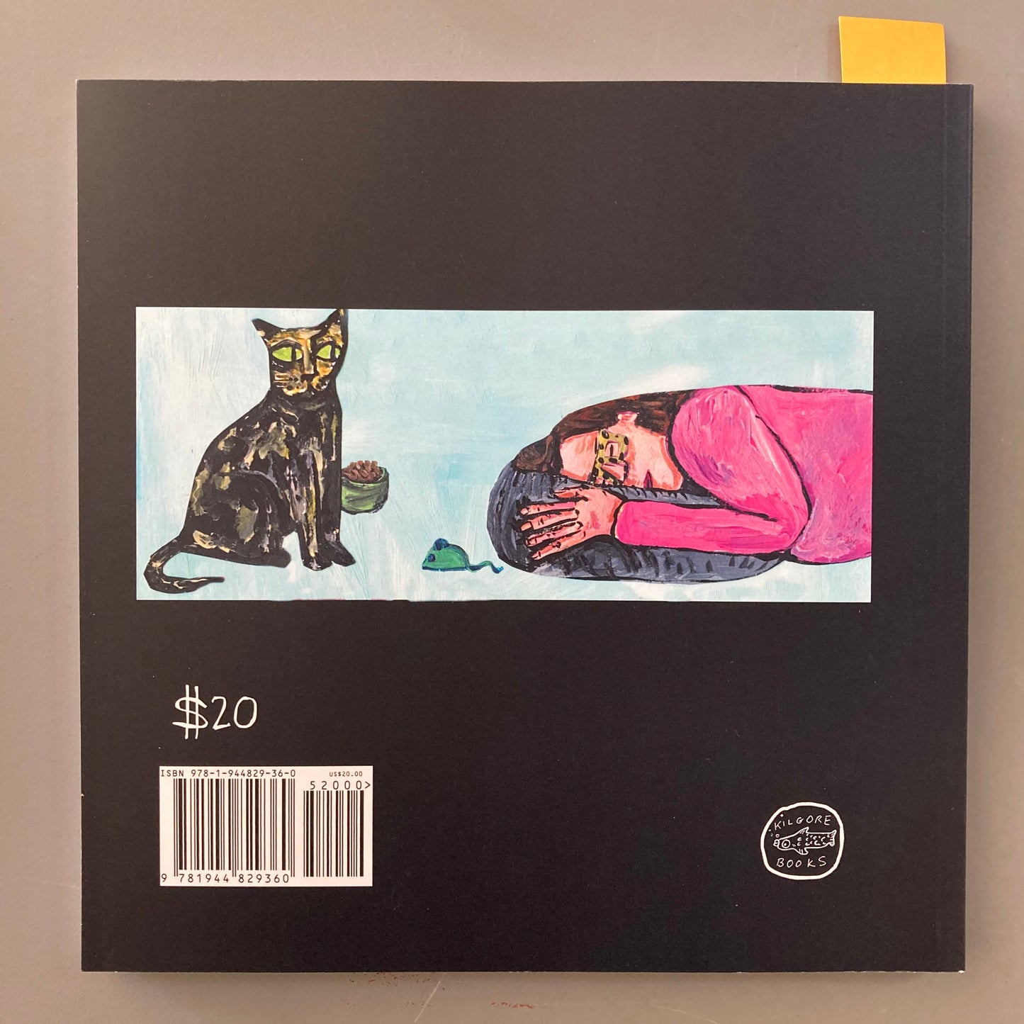 Ruining Your Cat’s Life