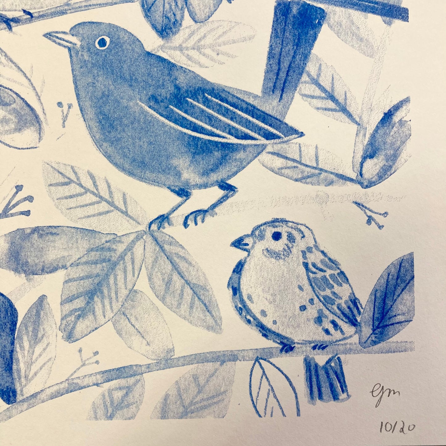 Coisinhas com Penas (A4 Print)