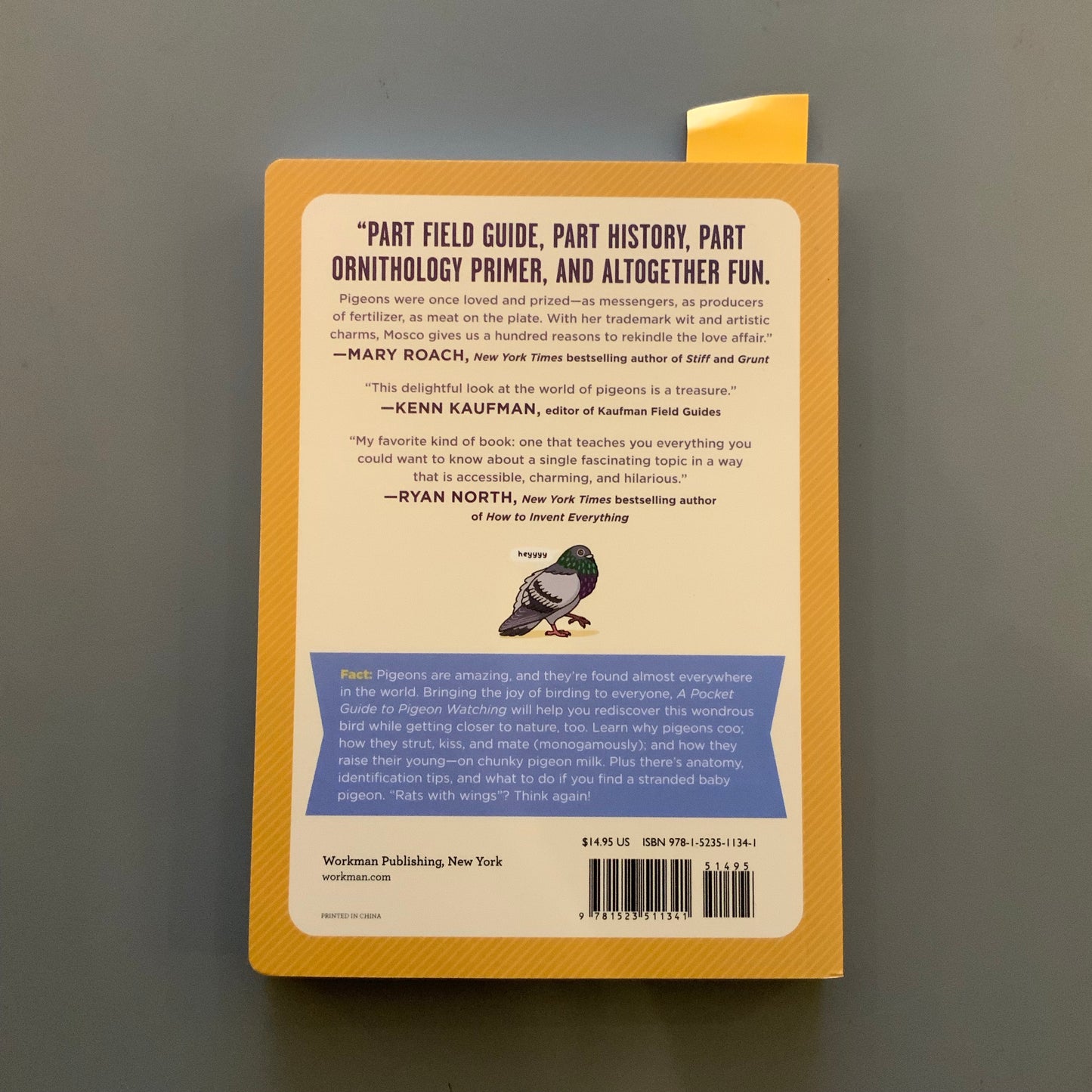 A Pocket Guide to Pigeon Watching