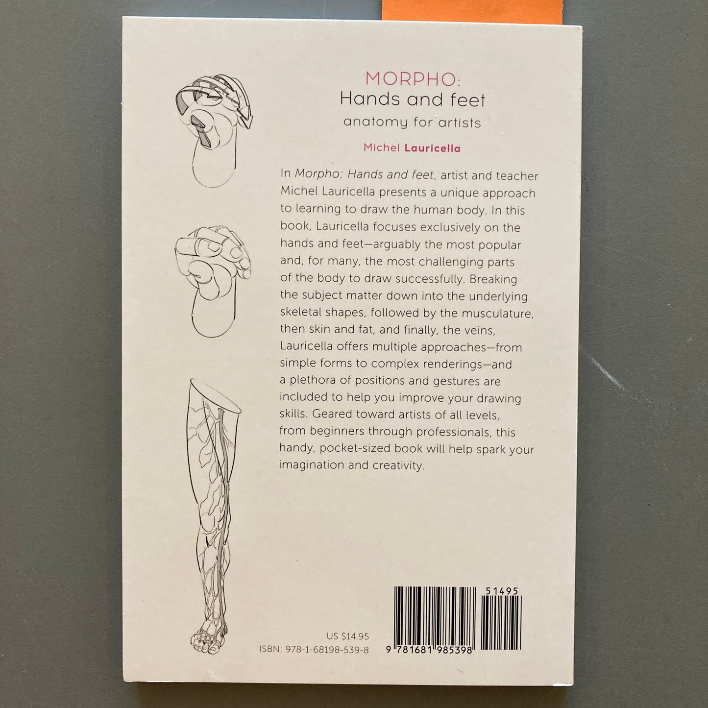 MORPHO: Hands and feet